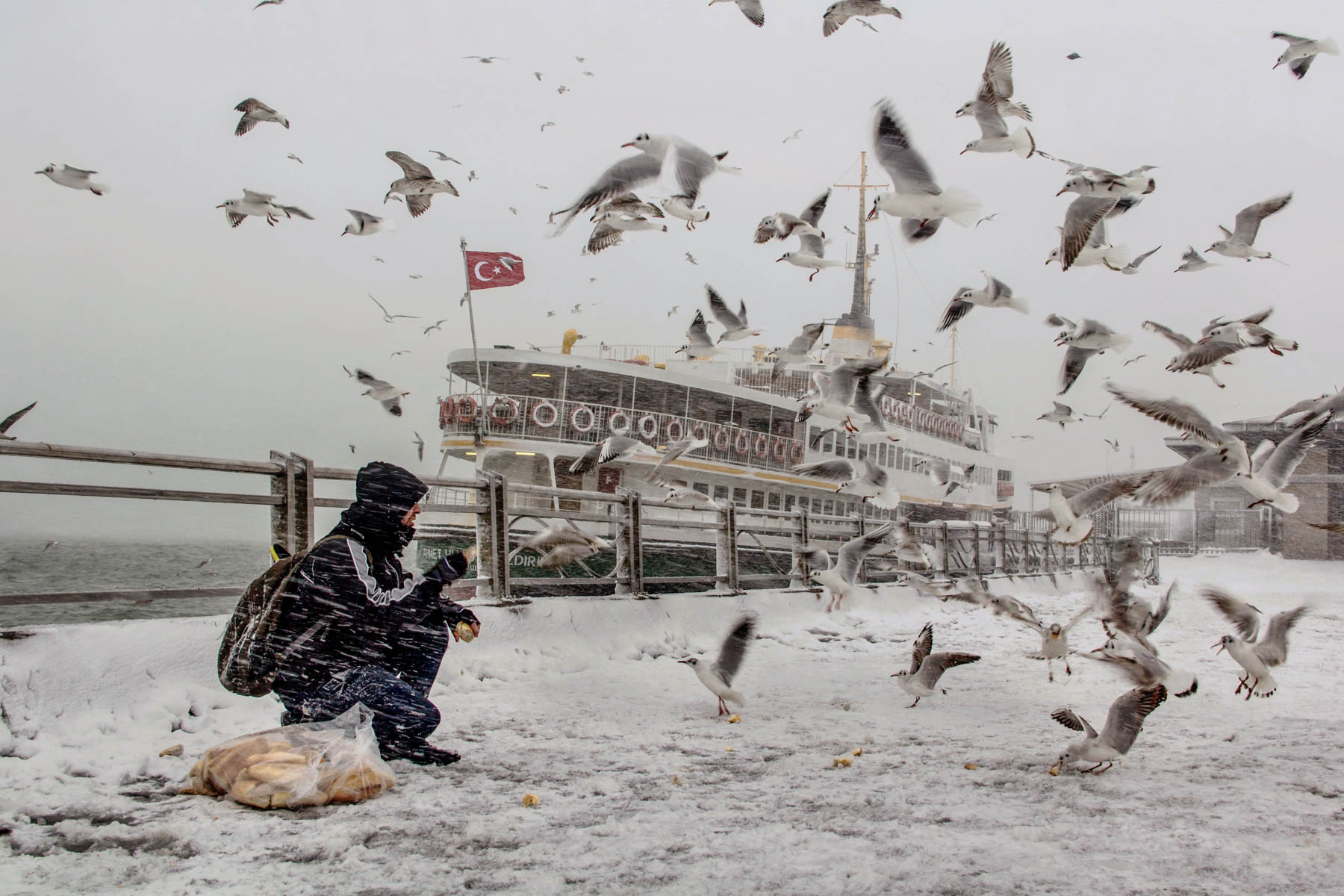 İZMİR ÇEVRE VE ŞEHİRCİLİK İL MÜDÜRLÜĞÜ TARAFINDAN DÜZENLENEN “YAŞANABİLİR ÇEVRE VE SIFIR ATIK” KONULU FOTOĞRAF YARIŞMASI SONUÇLARI