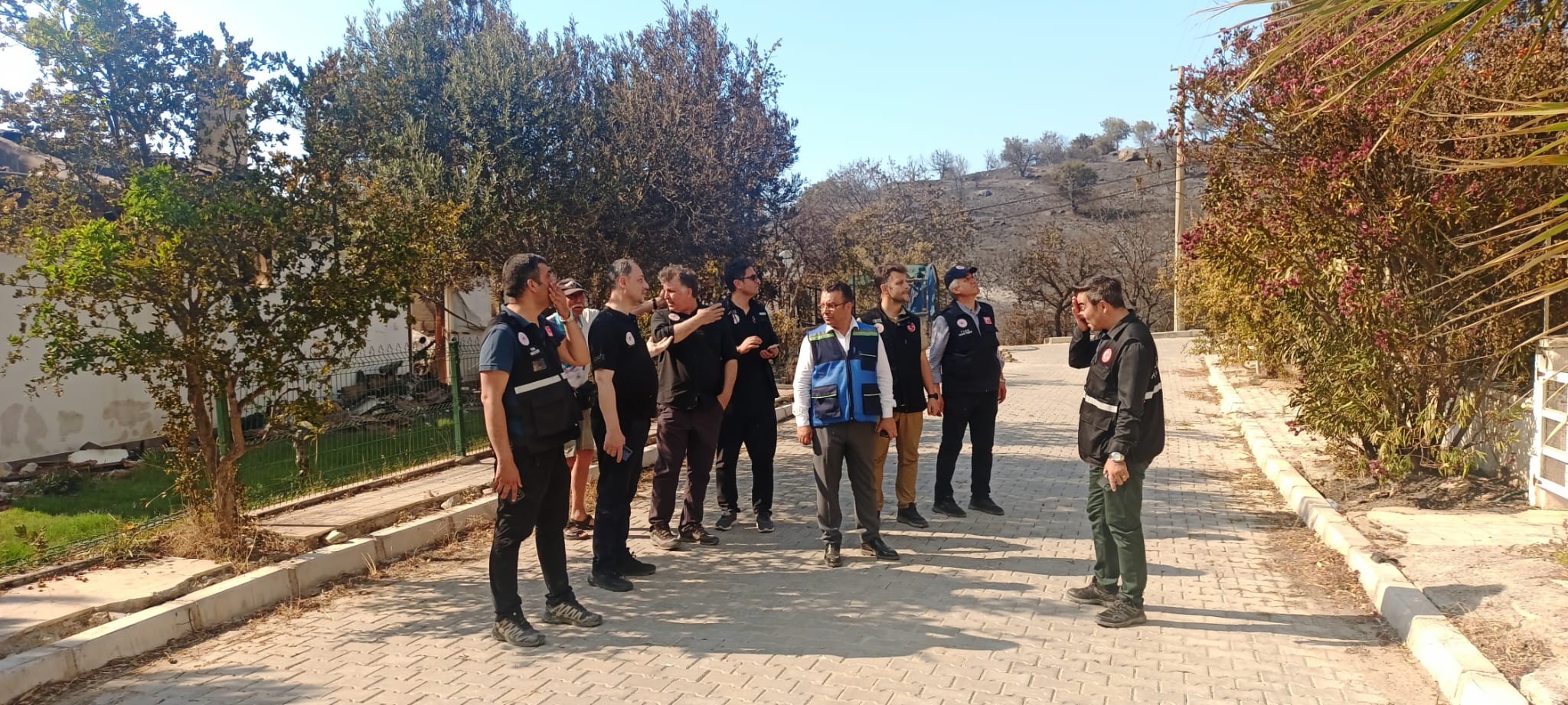 Orman Yangınları Hakkında Bilgilendirme