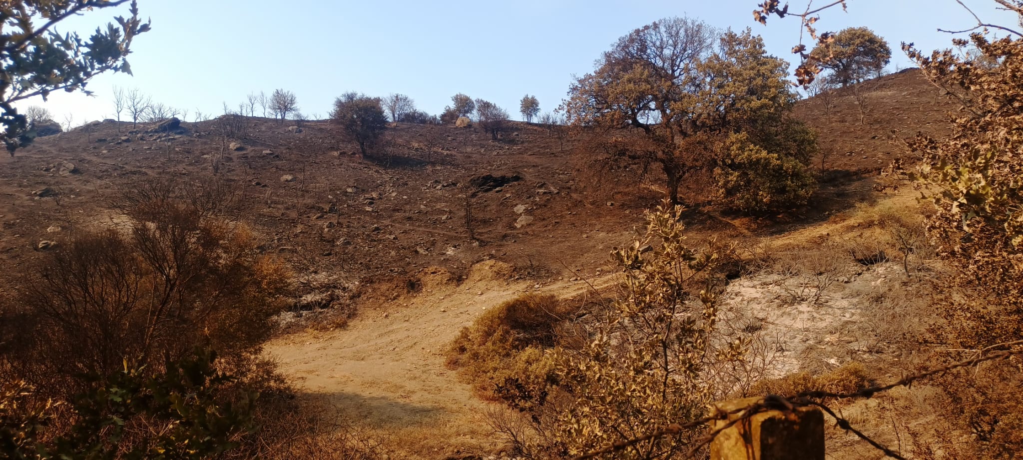 Orman Yangınları Hakkında Bilgilendirme