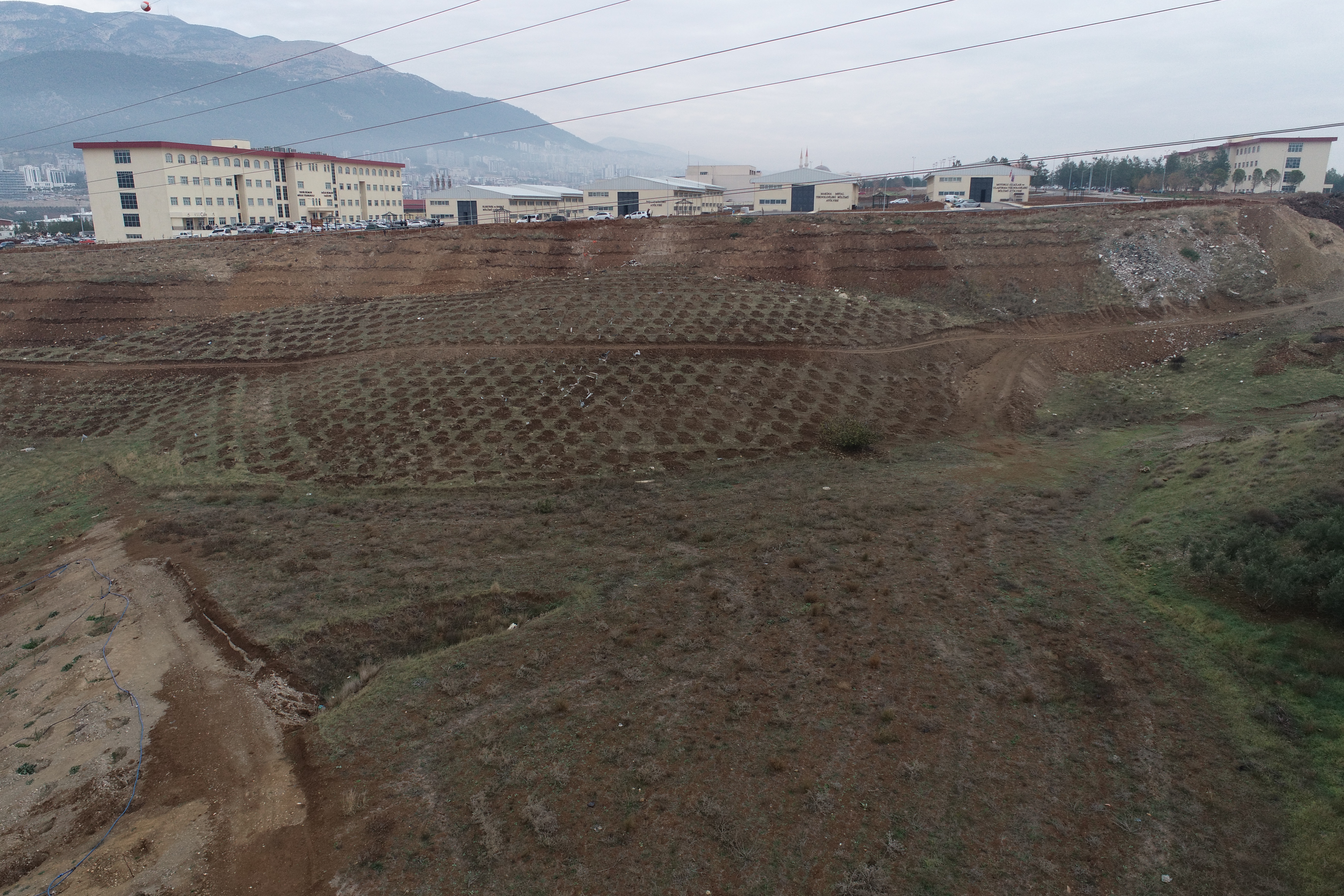 KSÜ KARBON YUTAK ALANI TESİSİ FAALİYETE GEÇMİŞTİR