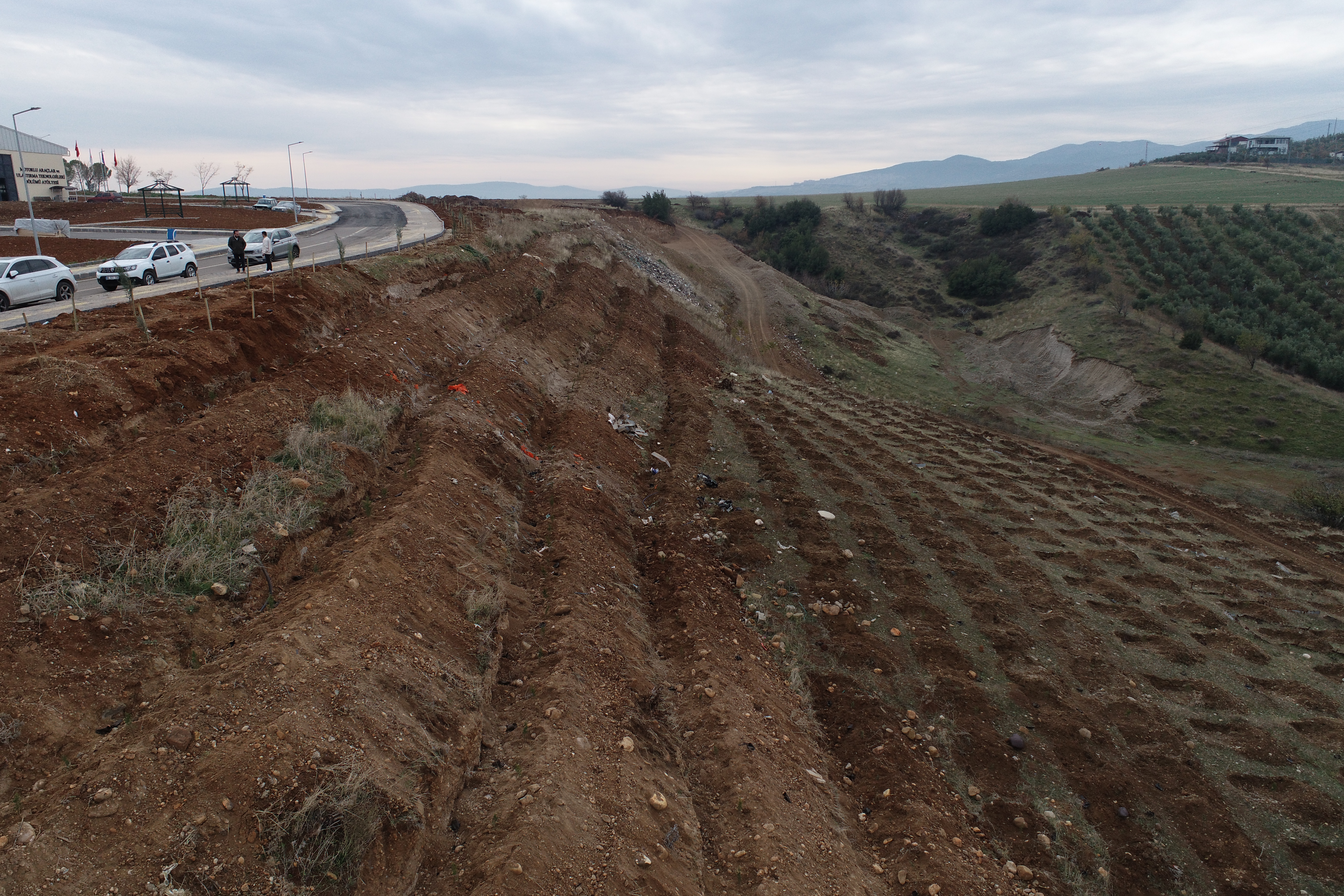 KSÜ KARBON YUTAK ALANI TESİSİ FAALİYETE GEÇMİŞTİR