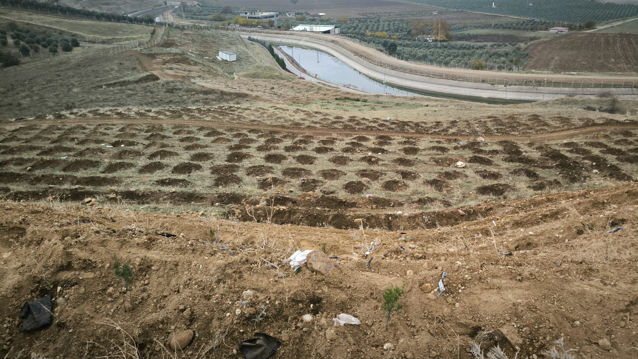 KSÜ KARBON YUTAK ALANI TESİSİ FAALİYETE GEÇMİŞTİR