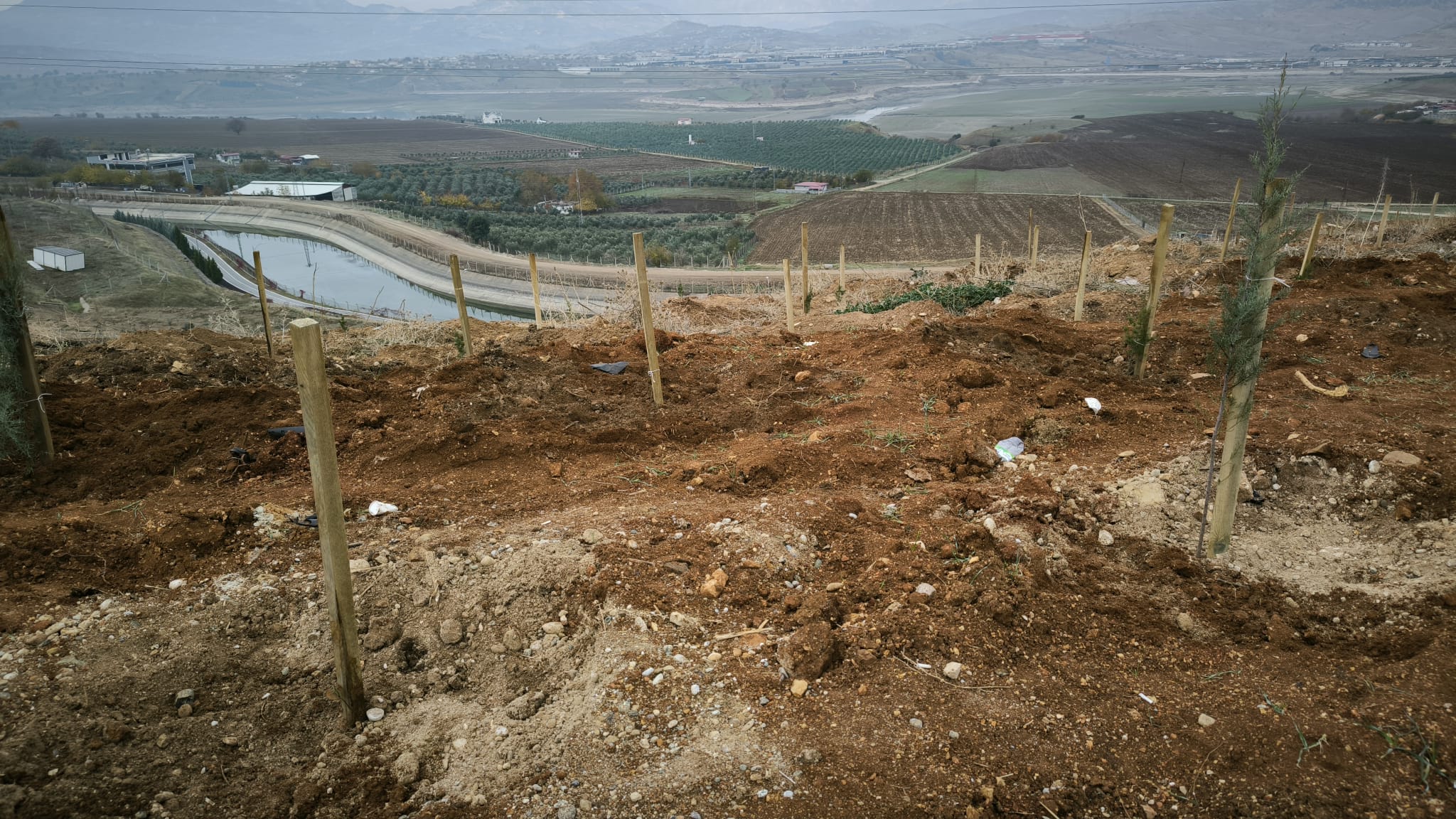 KSÜ KARBON YUTAK ALANI TESİSİ FAALİYETE GEÇMİŞTİR