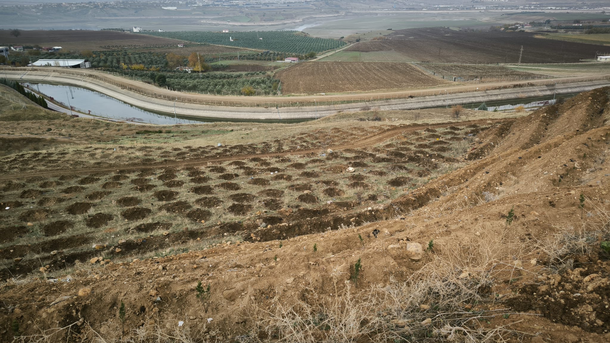 KSÜ KARBON YUTAK ALANI TESİSİ FAALİYETE GEÇMİŞTİR
