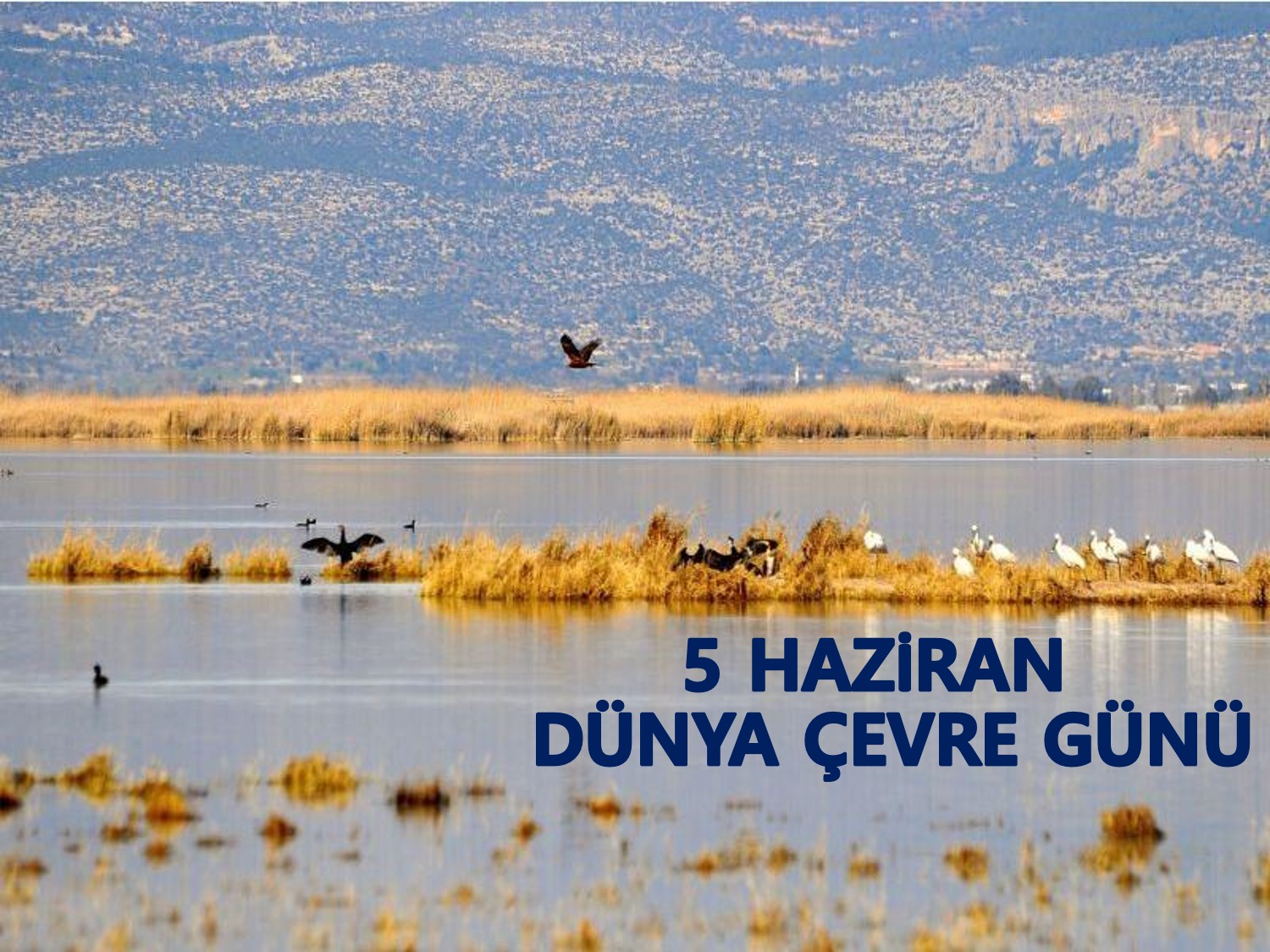 5 HAZİRAN DÜNYA ÇEVRE GÜNÜ