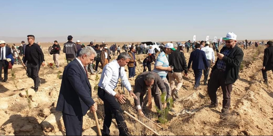 ‘BUGÜN FİDAN YARIN NEFES’ SLOGANIYLA DÜZENLENEN FİDAN DİKİM ETKİNLİĞİNE KATILIM SAĞLANDI