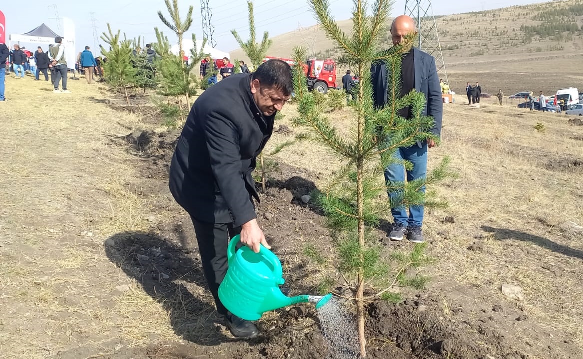 YEŞİL VATAN SEFERBERLİĞİ