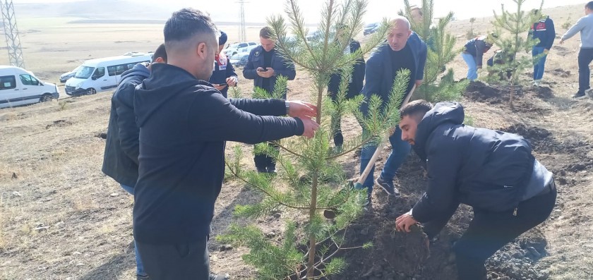 YEŞİL VATAN SEFERBERLİĞİ