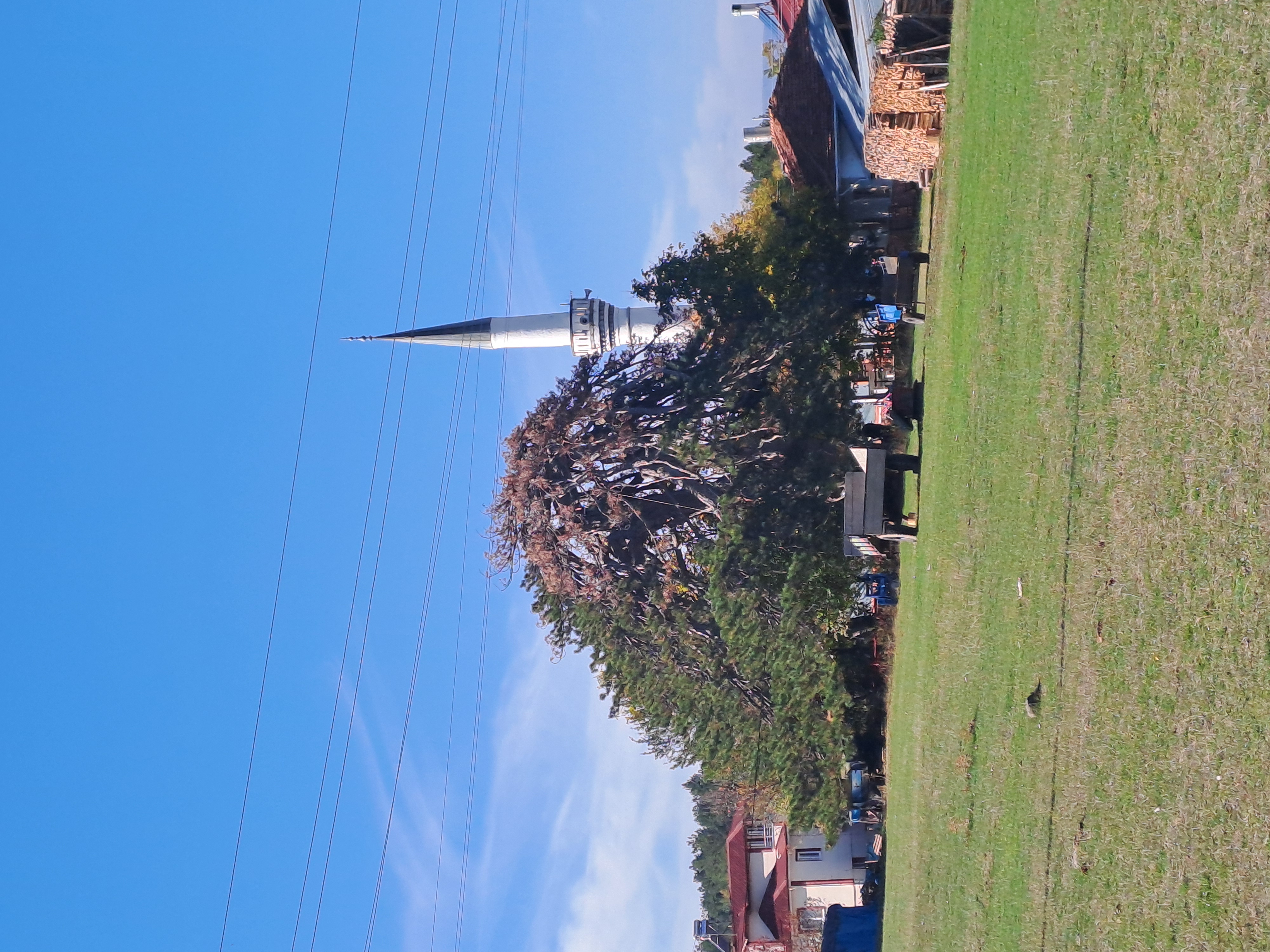 KIYIK KÖYÜ’NDEKİ 860 YAŞINDAKİ ANIT KARAÇAMIN KURUMA DURUMU BİLİMSEL OLARAK İNCELENİYOR