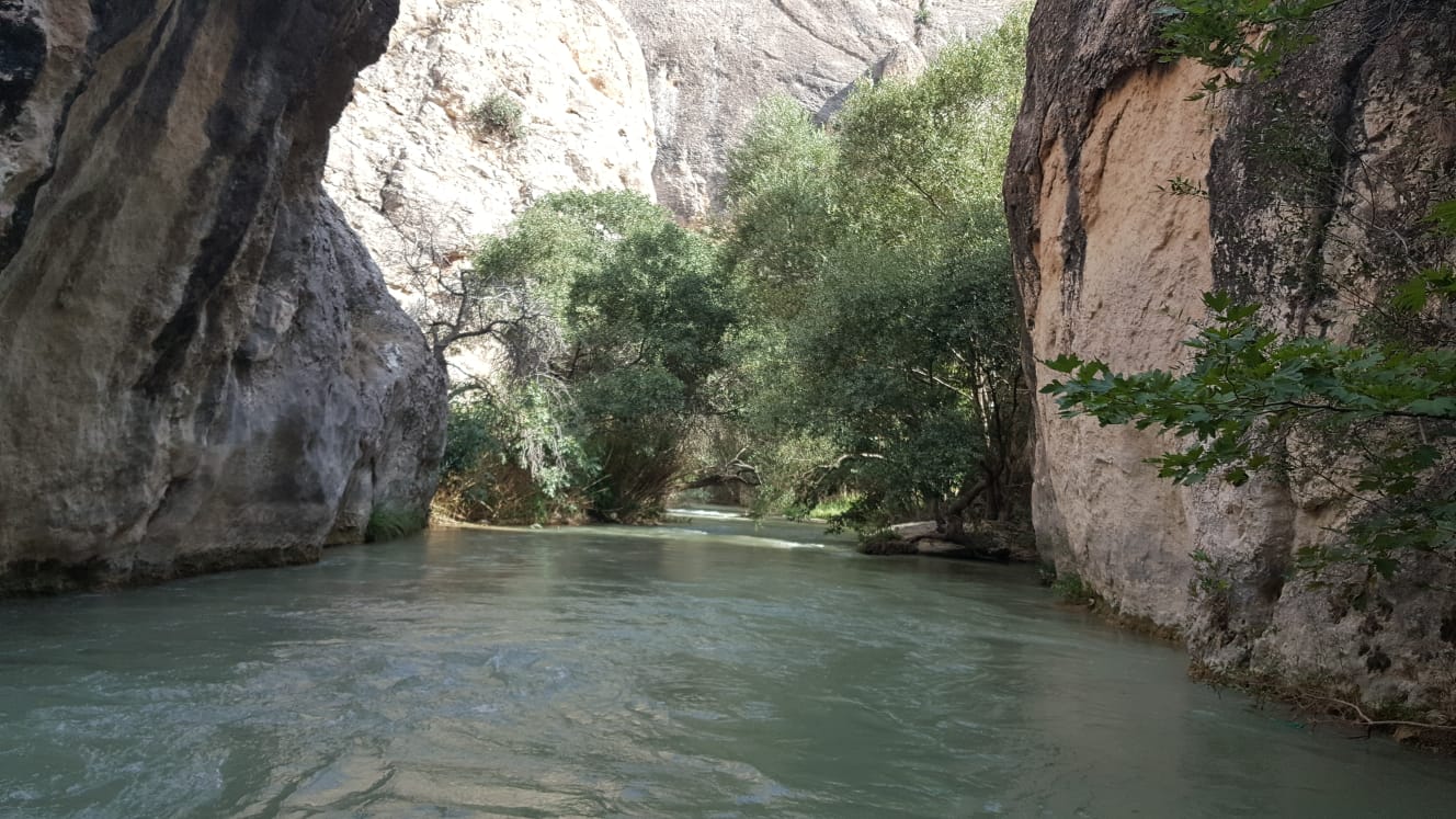 TABİAT VARLIKLARINI KORUMA BÖLGE KOMİSYON TOPLANTISI VE ARAZİ İNCELEMESİ YAPILDI