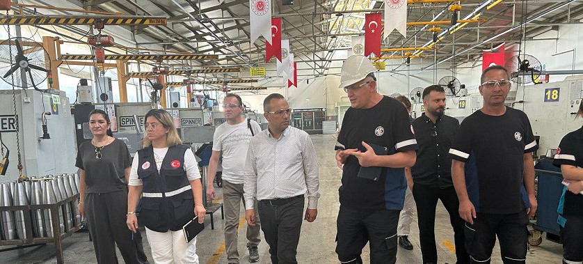 Birleşik Denetim