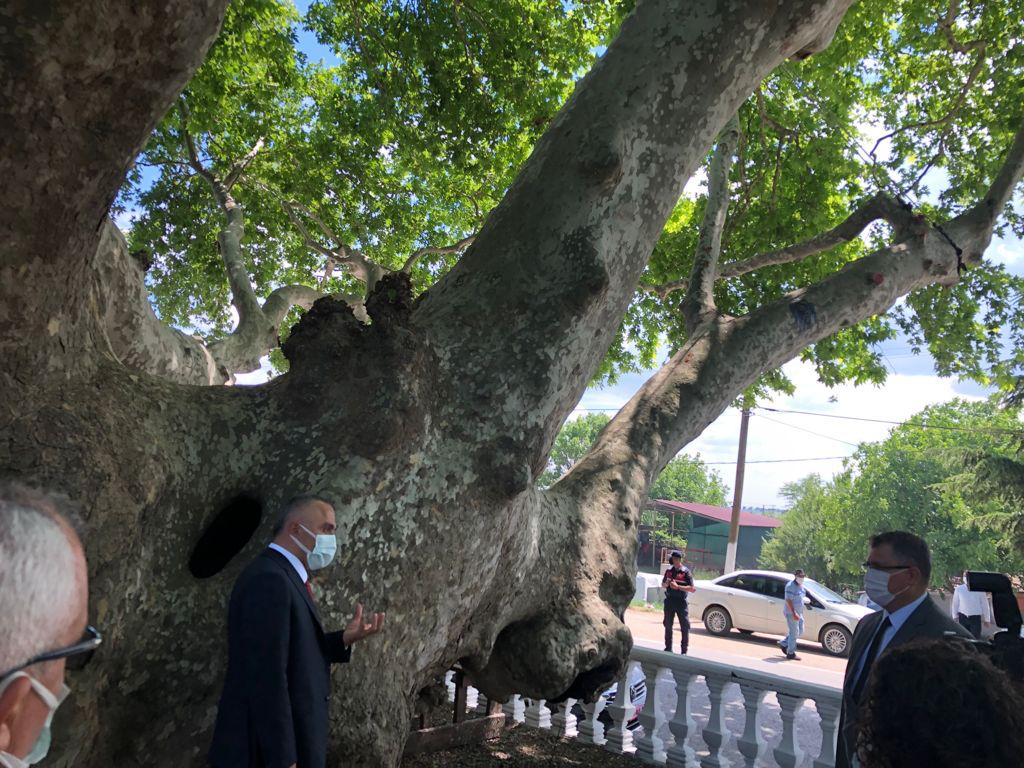 Doğal Miras Olarak Kabul Edilen Geçmişimiz ile Geleceğimizin Arasındaki Yaşayan Köprü Tabiat Varlıkları 