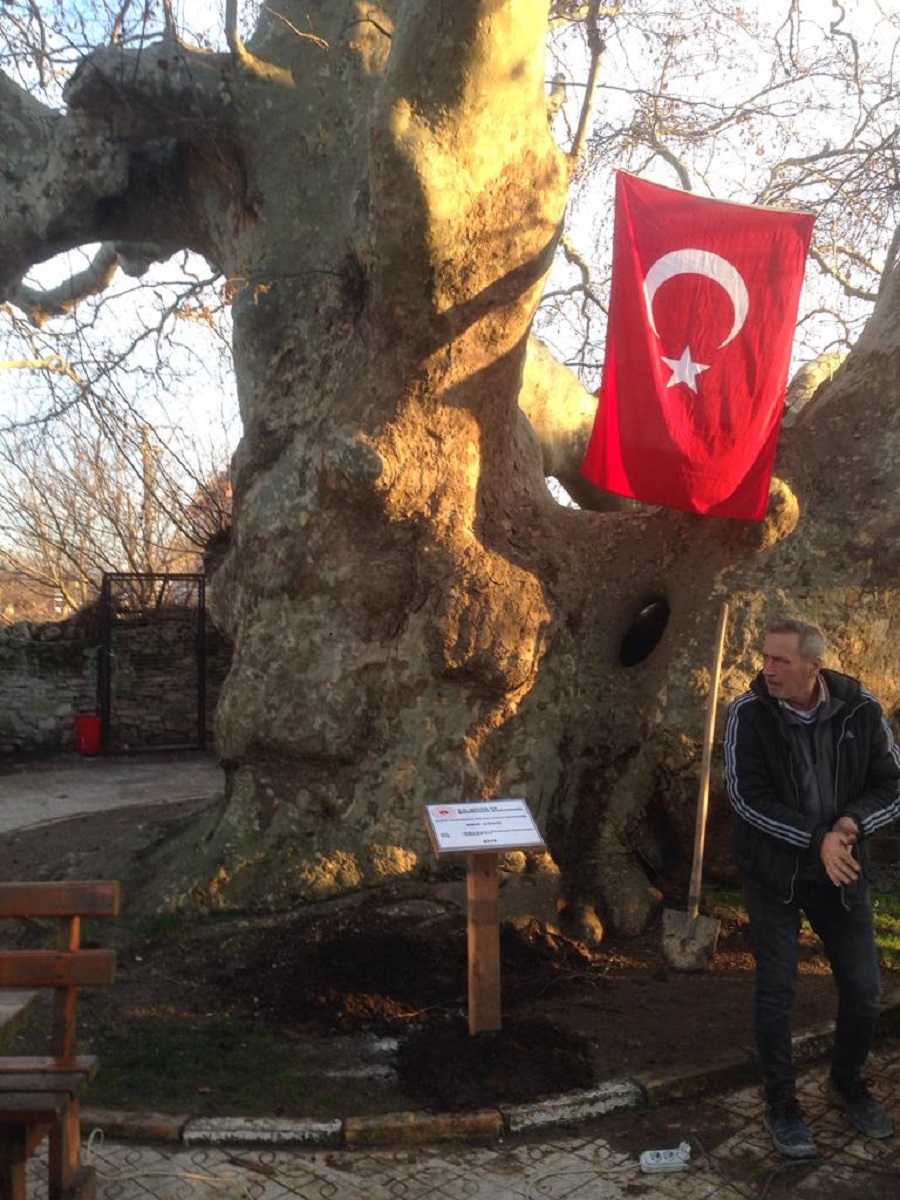 İlimizde Bulunun Tüm Sit Alanları ve Anıt Ağaçlara bilgilendirme tabelaları yerleştirilmiştir.