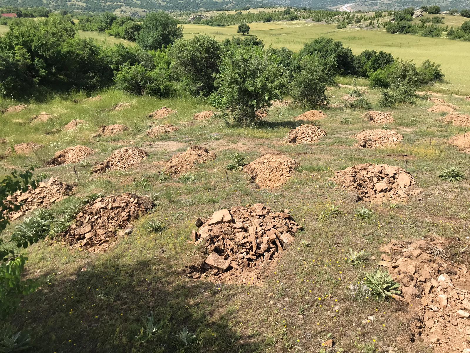 KIRKLARELİ ÇEVRE VE ŞEHİRCİLİK İL MÜDÜRLÜĞÜ SIFIR ATIK HATIRA ORMANI