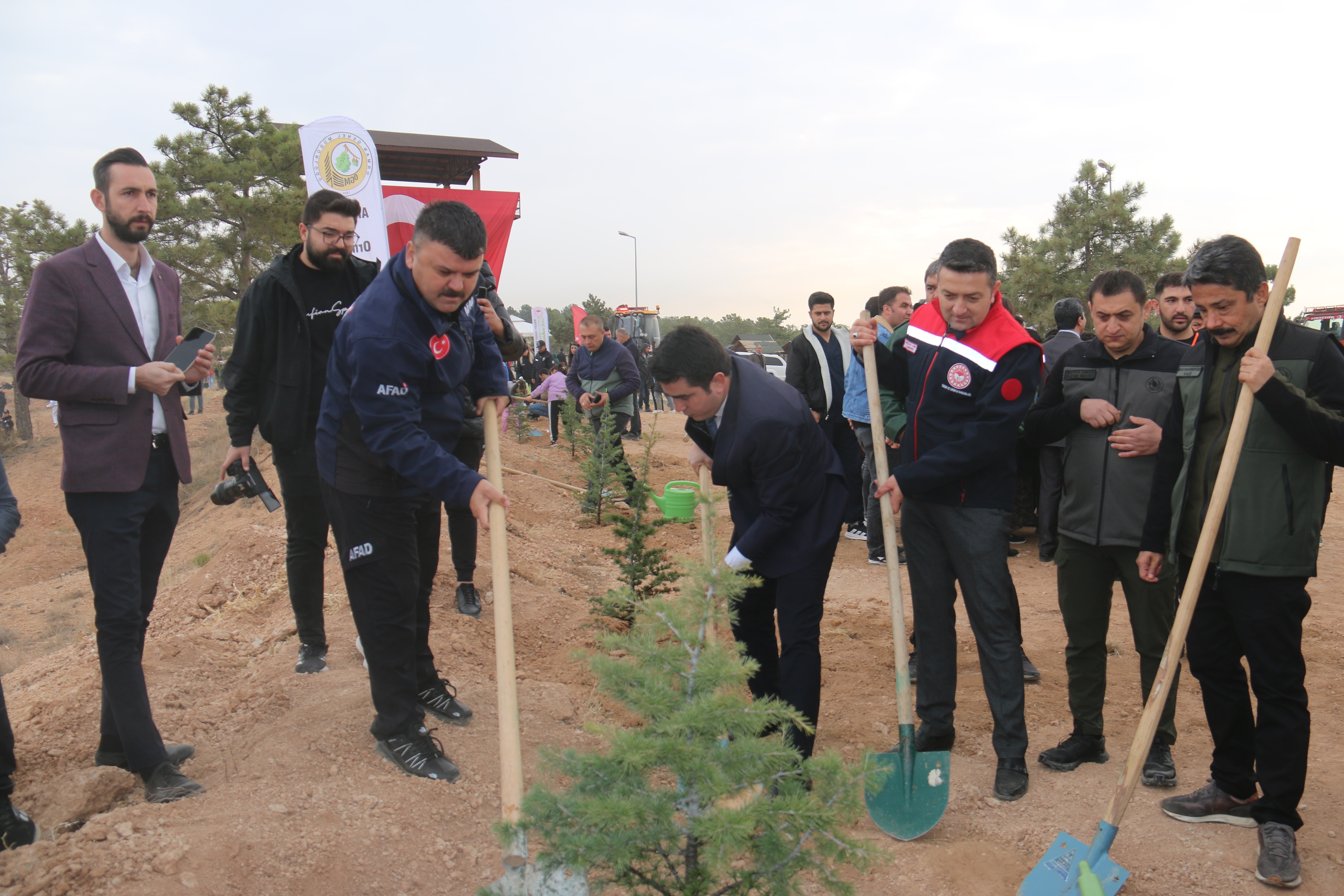 11 Kasım Milli Ağaçlandırma Gününde Fidan Dikimi Etkinliği Gerçekleştirdik