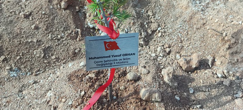 Şehitlerimizin Aziz Hatırasına Aşıkpaşa Tabiat Parkı’nda Fidan Dikimi Gerçekleştirildi