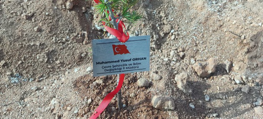 Şehitlerimizin Aziz Hatırasına Aşıkpaşa Tabiat Parkı’nda Fidan Dikimi Gerçekleştirildi