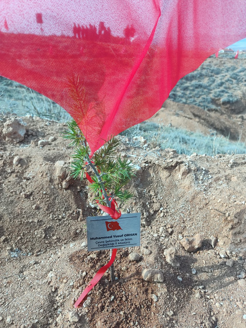 Şehitlerimizin Aziz Hatırasına Aşıkpaşa Tabiat Parkı’nda Fidan Dikimi Gerçekleştirildi