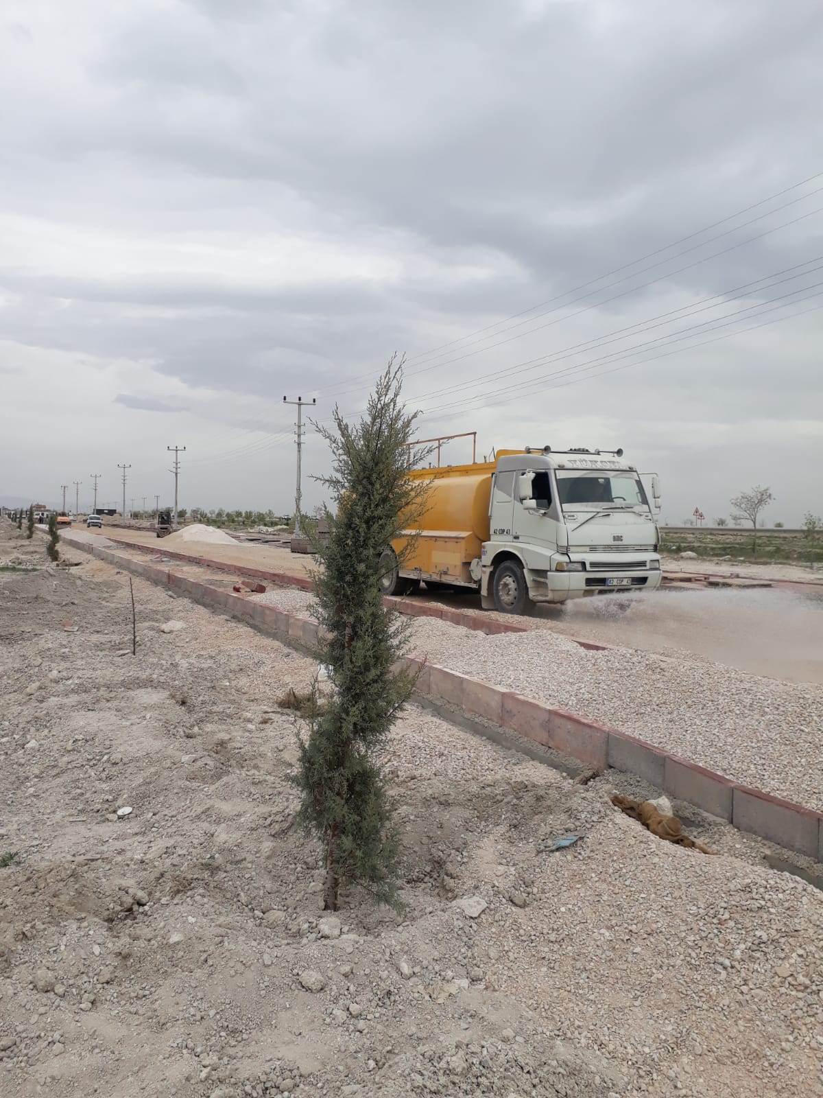 Konya Bozkır Barajı İskan Konutlarında Ağaçlandırma Çalışmaları