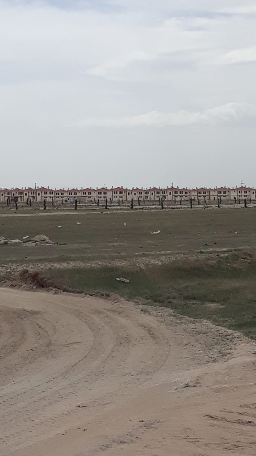 Konya Bozkır Barajı İskan Konutlarında Ağaçlandırma Çalışmaları