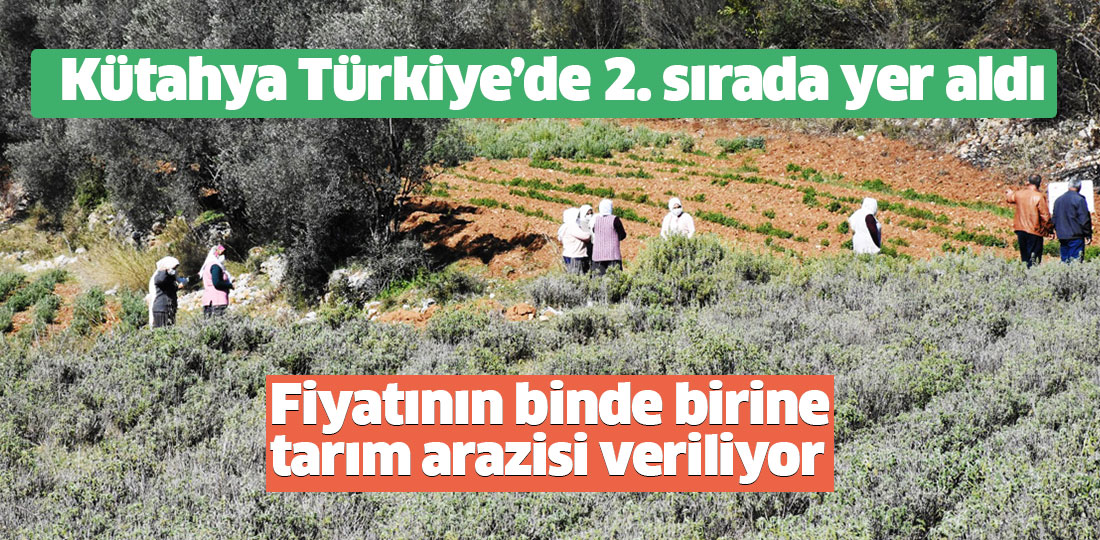 Kütahya’da 4.6 milyon metre kare hazine arazisi binde bir fiyatına kiraya verildi.