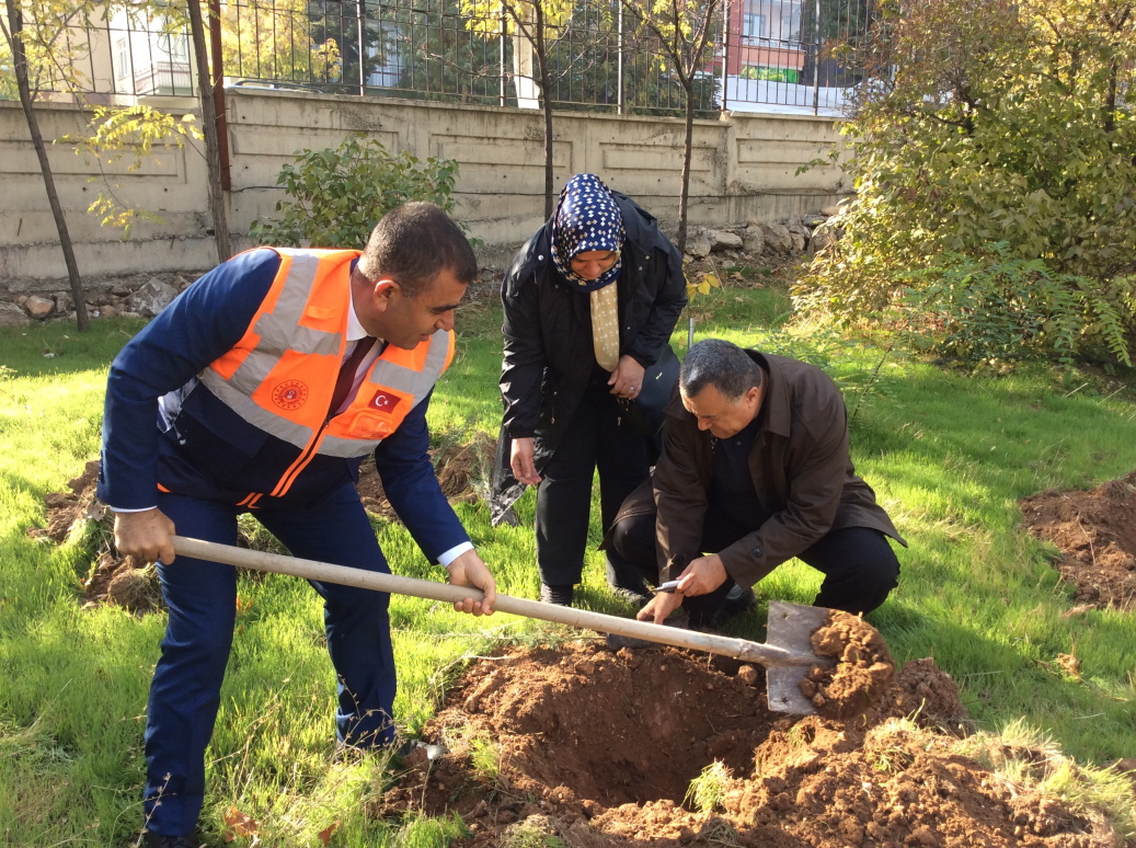 11 MİLYON AĞAÇ; BUGÜN FİDAN, YARIN NEFES