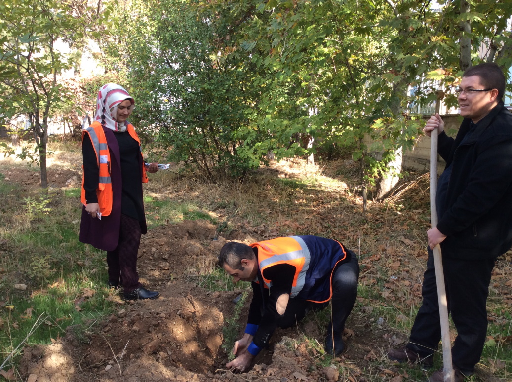 11 MİLYON AĞAÇ; BUGÜN FİDAN, YARIN NEFES