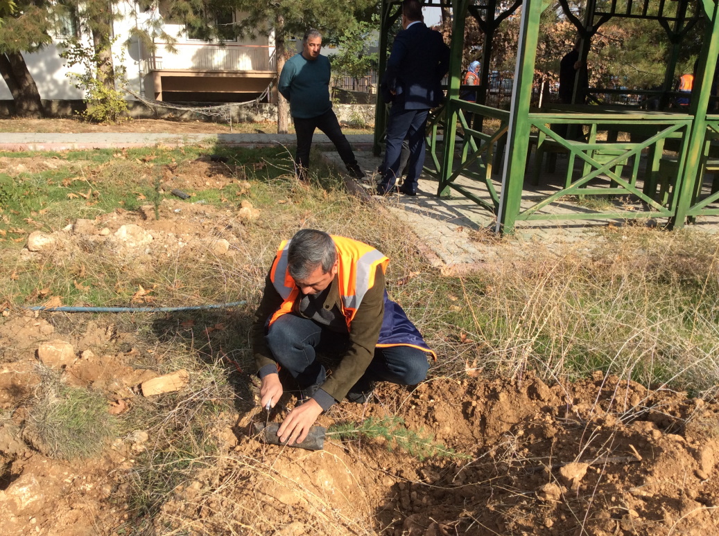 11 MİLYON AĞAÇ; BUGÜN FİDAN, YARIN NEFES