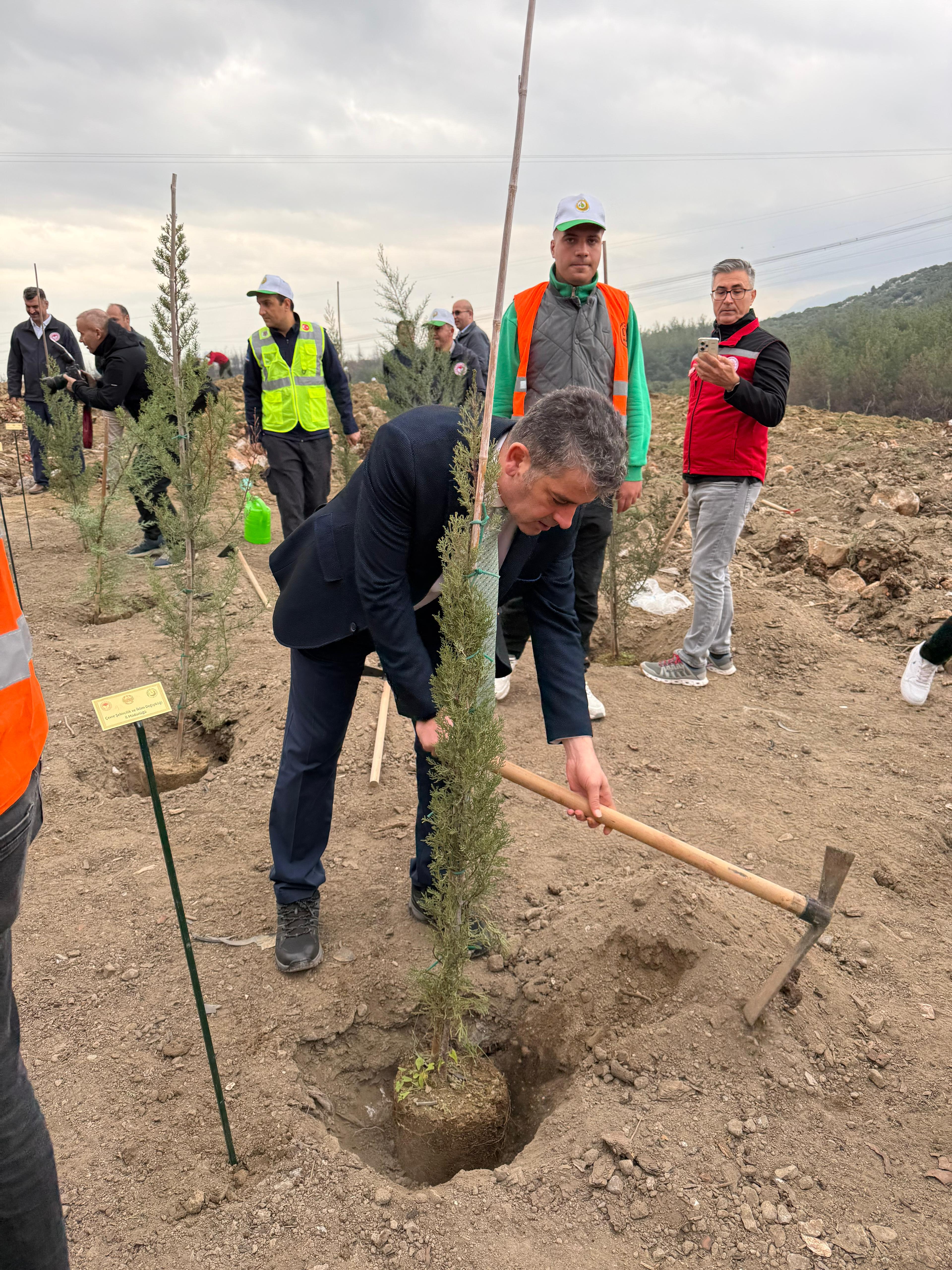 11 Kasım Milli Ağaçlandırma Günü