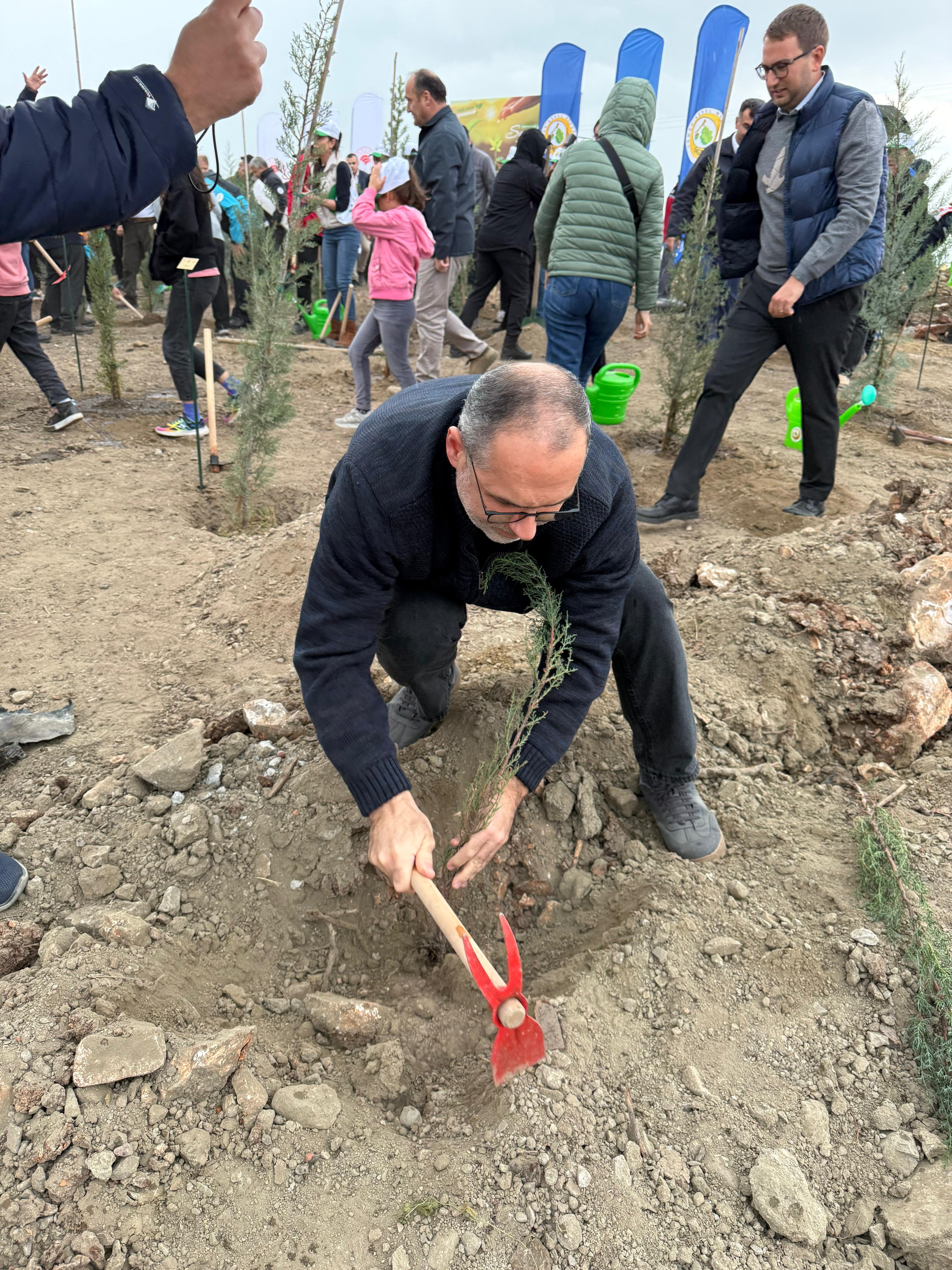 11 Kasım Milli Ağaçlandırma Günü