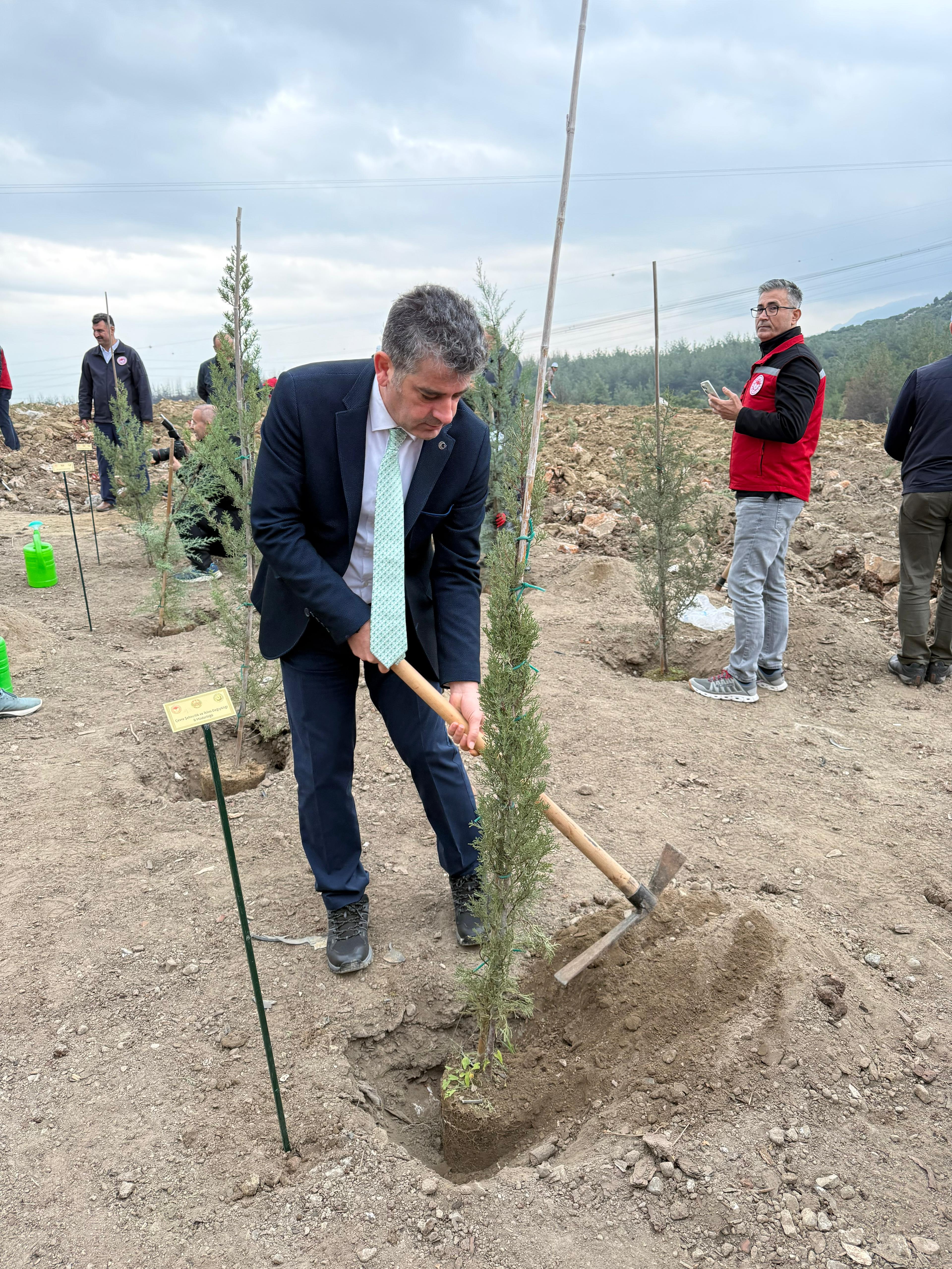 11 Kasım Milli Ağaçlandırma Günü