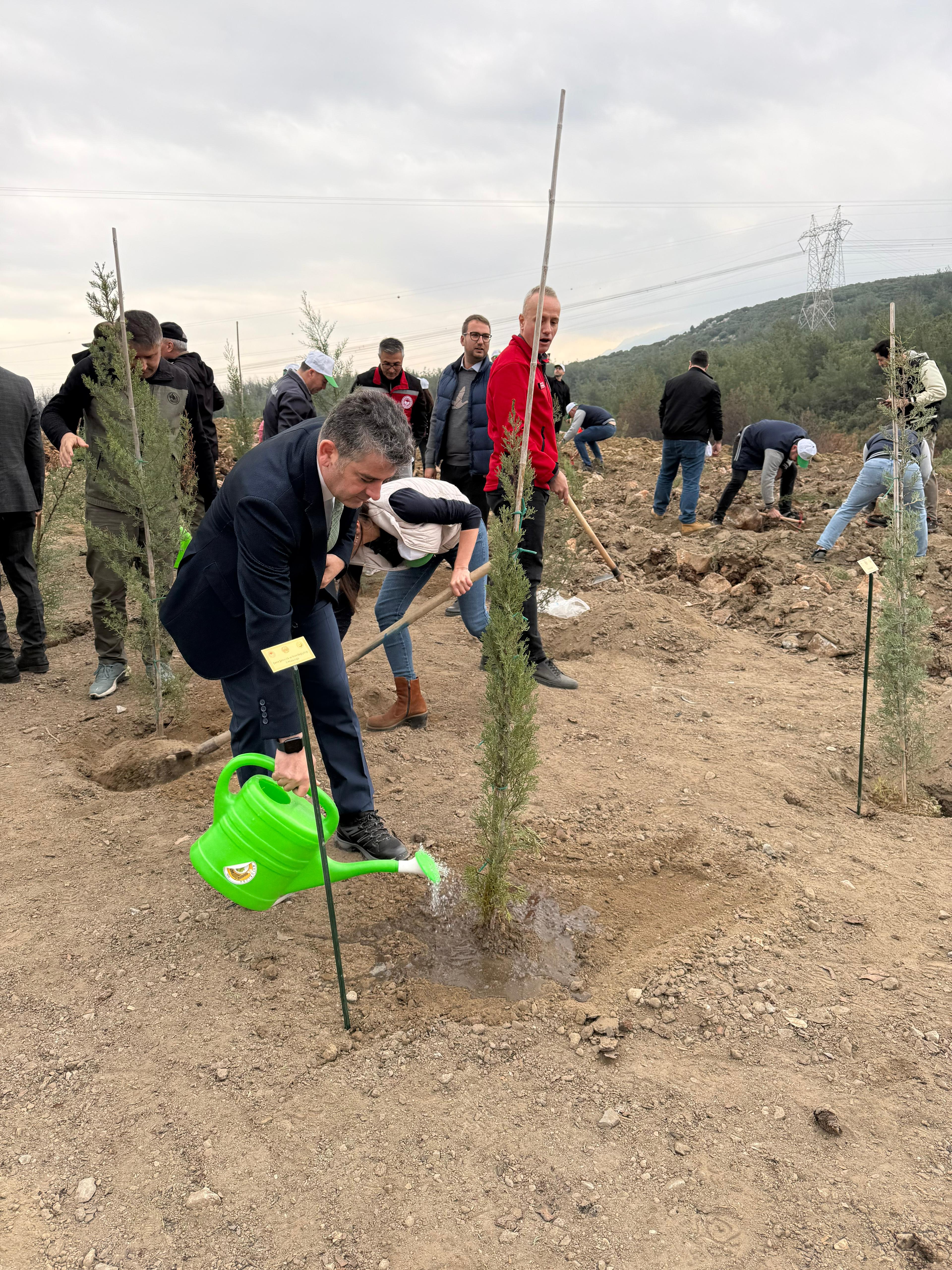 11 Kasım Milli Ağaçlandırma Günü