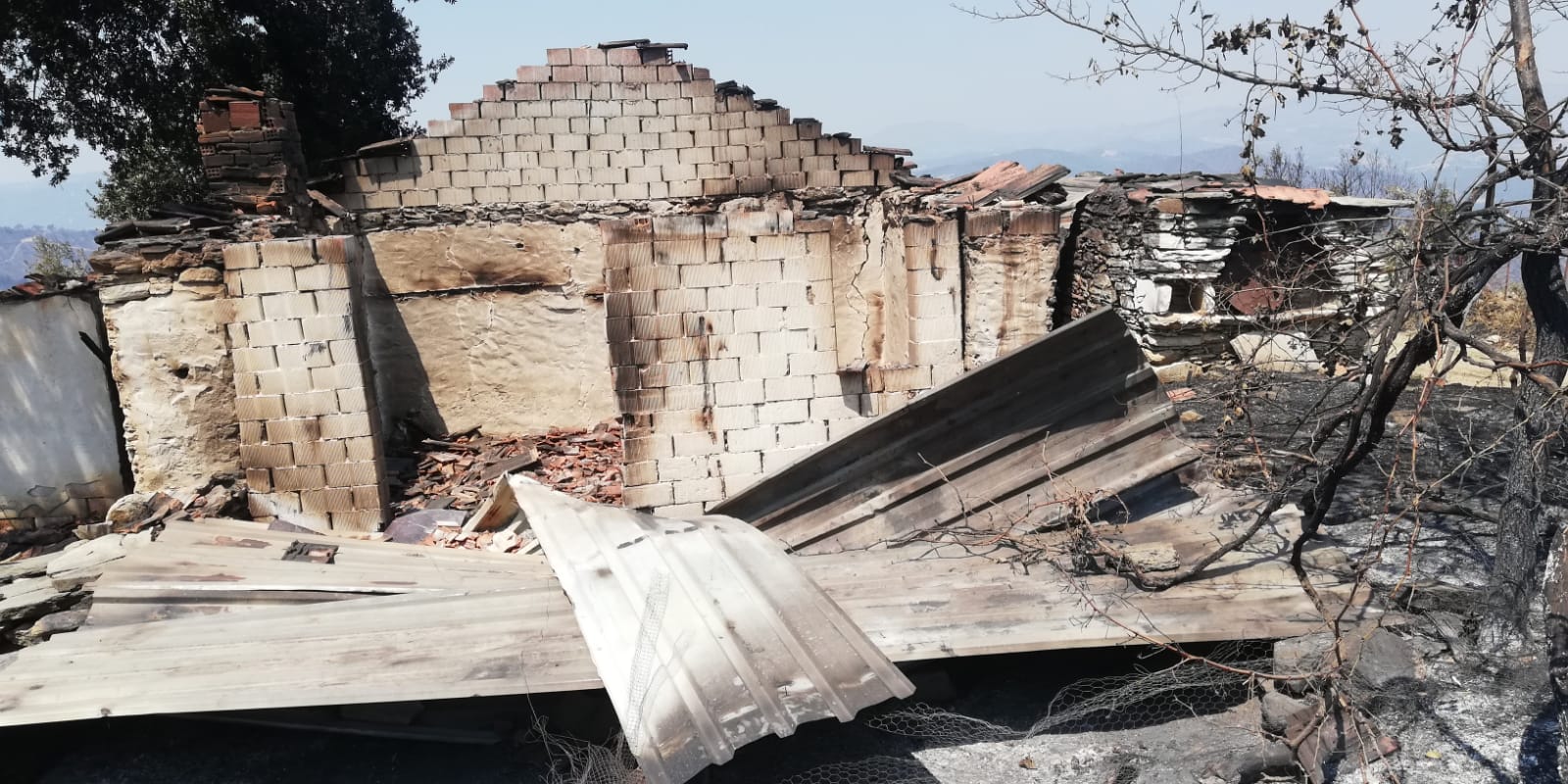 Gördes ve Salihli İlçelerinde  meydana gelen yangın afetiyle ilgili Bakan Yardımcımız Sayın Hasan Suver sahada hasar tespit çalışmalara bizzat katılarak incelemelerde bulunmuşlardır.