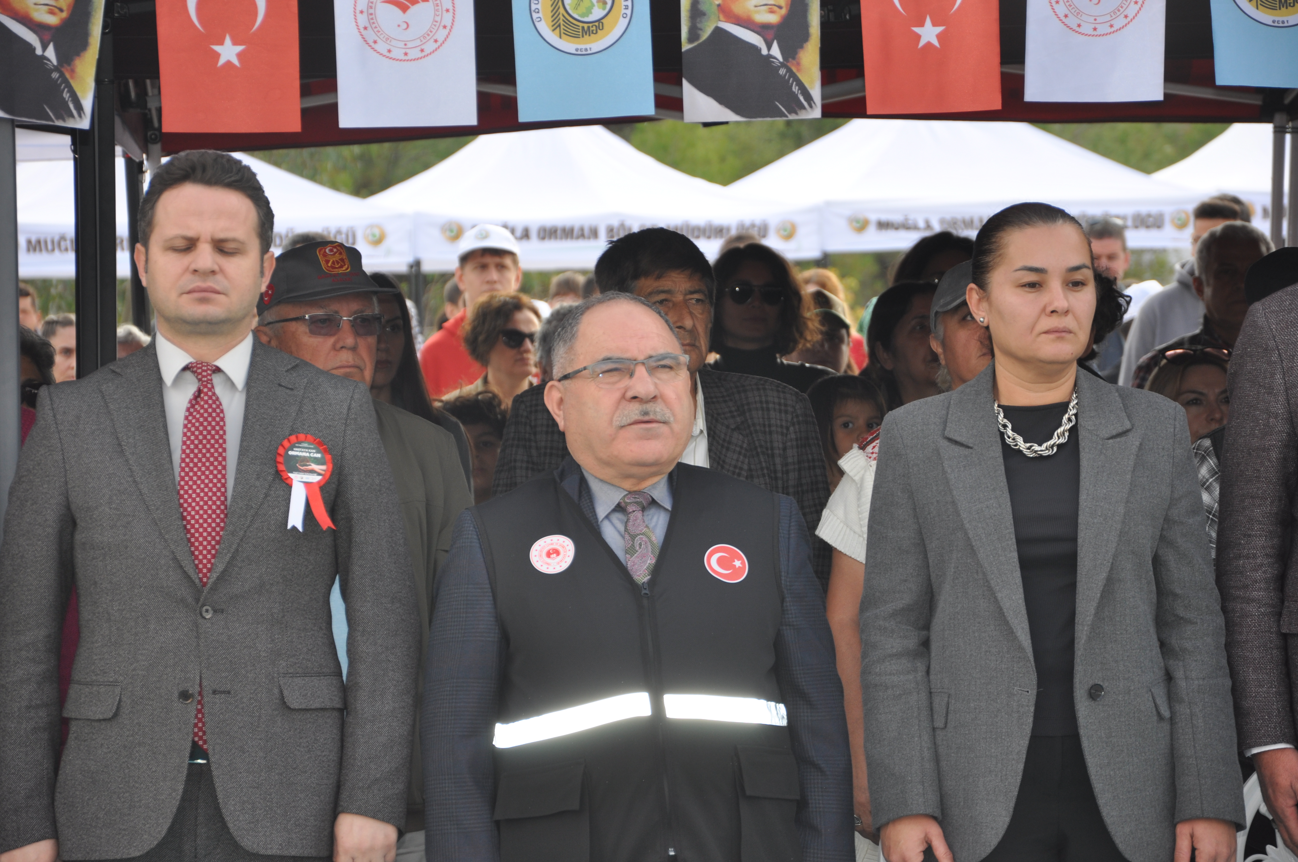 11 KASIM MİLLÎ AĞAÇLANDIRMA GÜNÜ