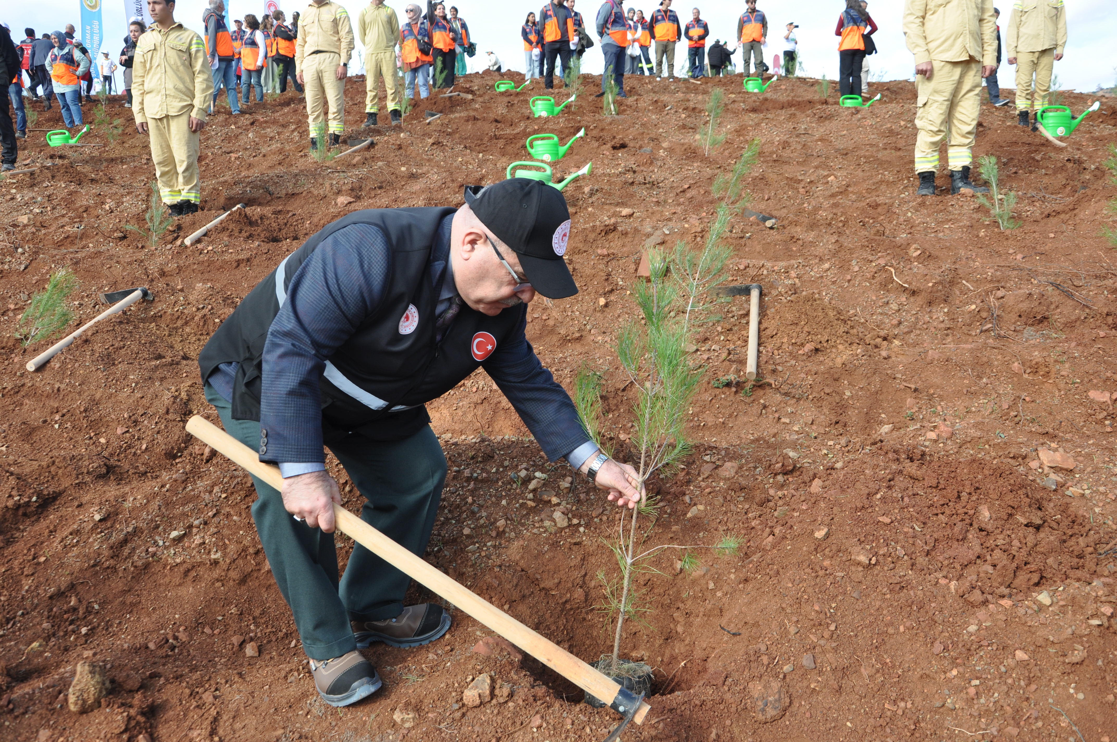 11 KASIM MİLLÎ AĞAÇLANDIRMA GÜNÜ