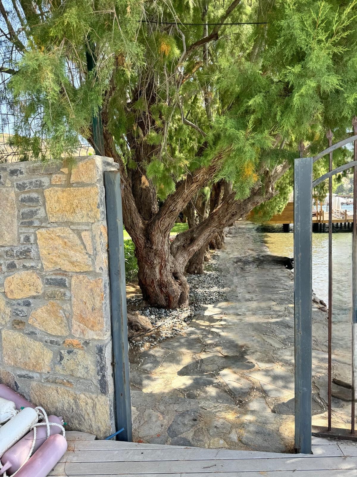 Çevre, Şehircilik ve İklim Değişikliği Bakanımız Sayın Mehmet ÖZHASEKİ’nin “Denizler Halkındır” Projesi Kapsamında İlimizde Bayram Tatilin Süresince Yerinde Denetlemeler Devam Etmiş Olup, Gerekli Çalışmalar Yapılmıştır.