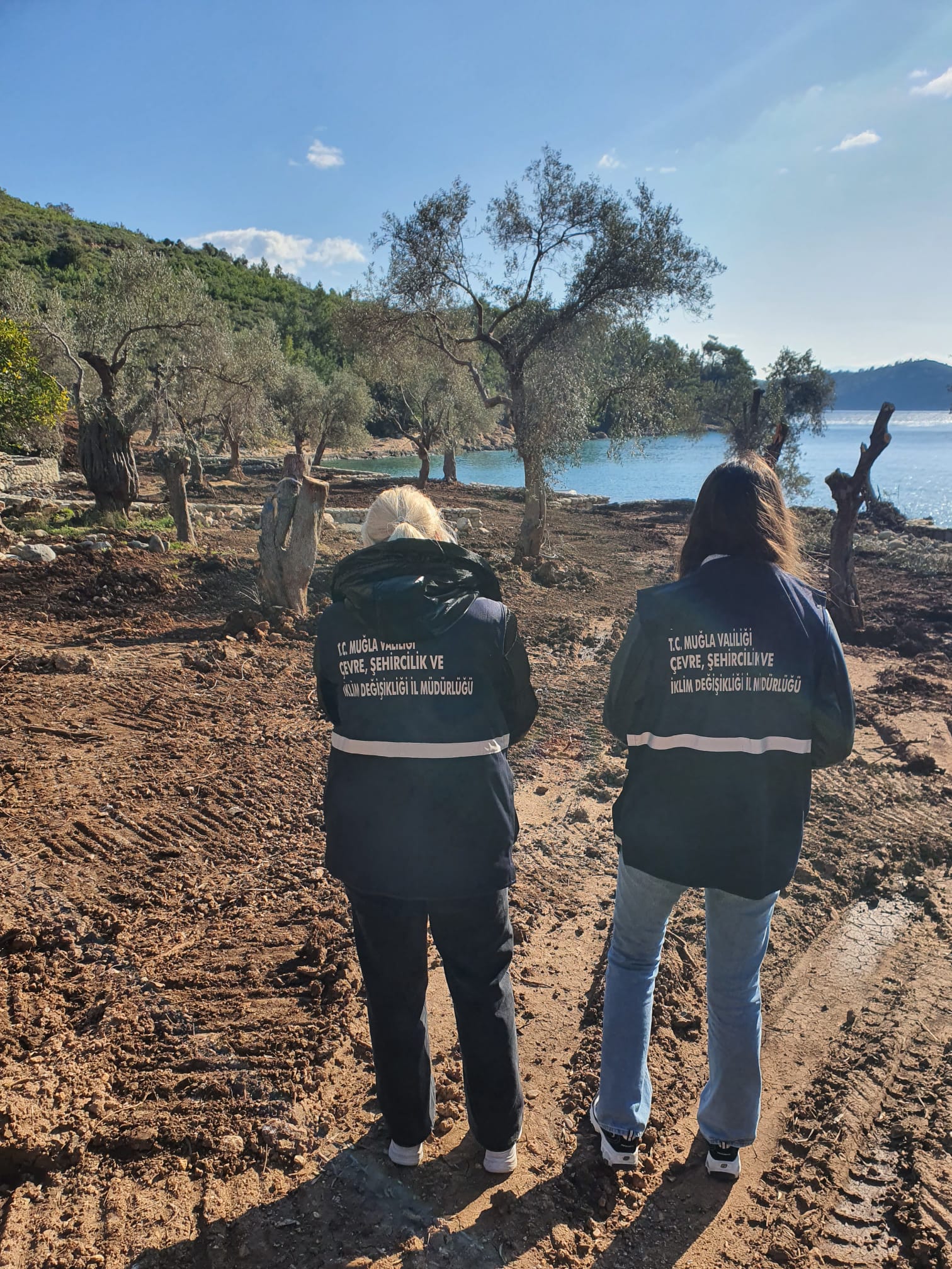 Muğla'nın Akbük Koyu'nda Kaçak Yapılaşmaya Karşı Denetim Yapıldı