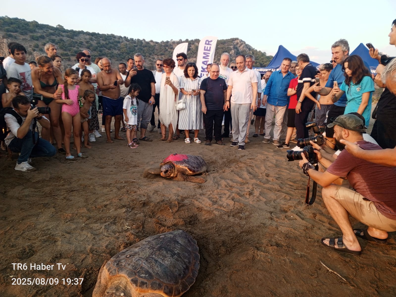 Yerli ve Milli Uydu Teknolojisiyle Caretta Caretta’ların Göç Yolculuğu Başladı