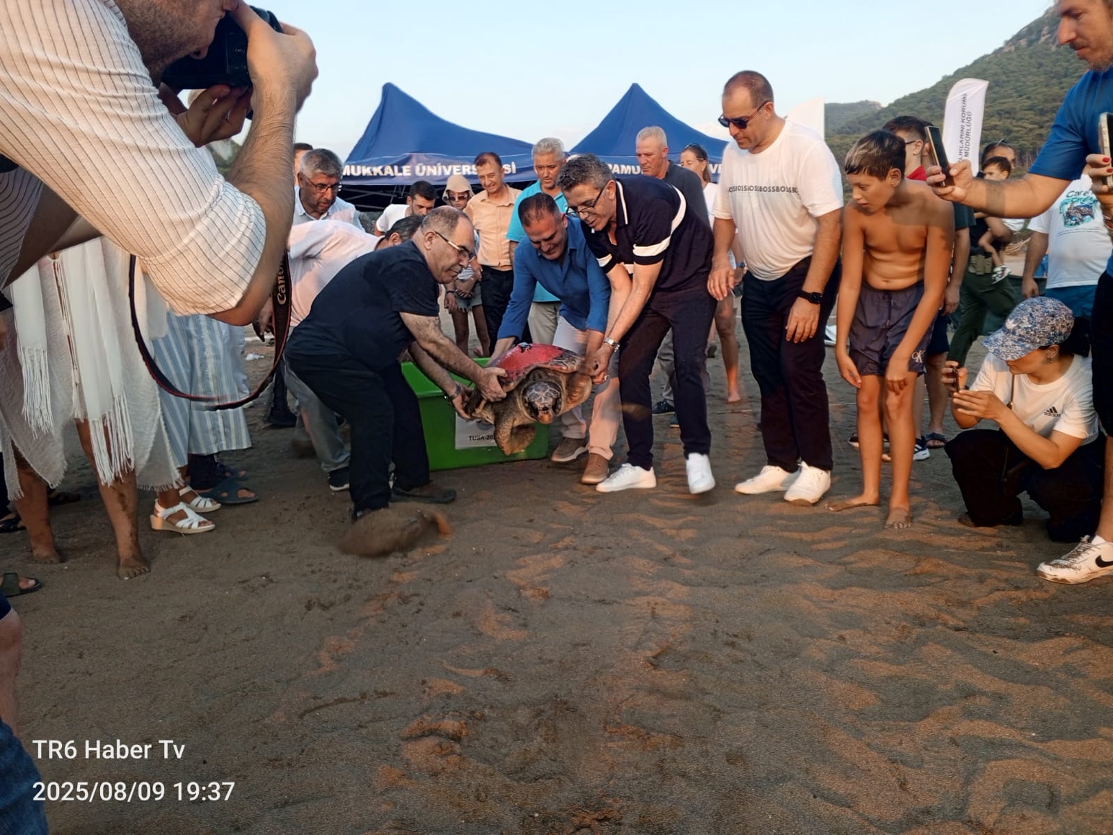 Yerli ve Milli Uydu Teknolojisiyle Caretta Caretta’ların Göç Yolculuğu Başladı