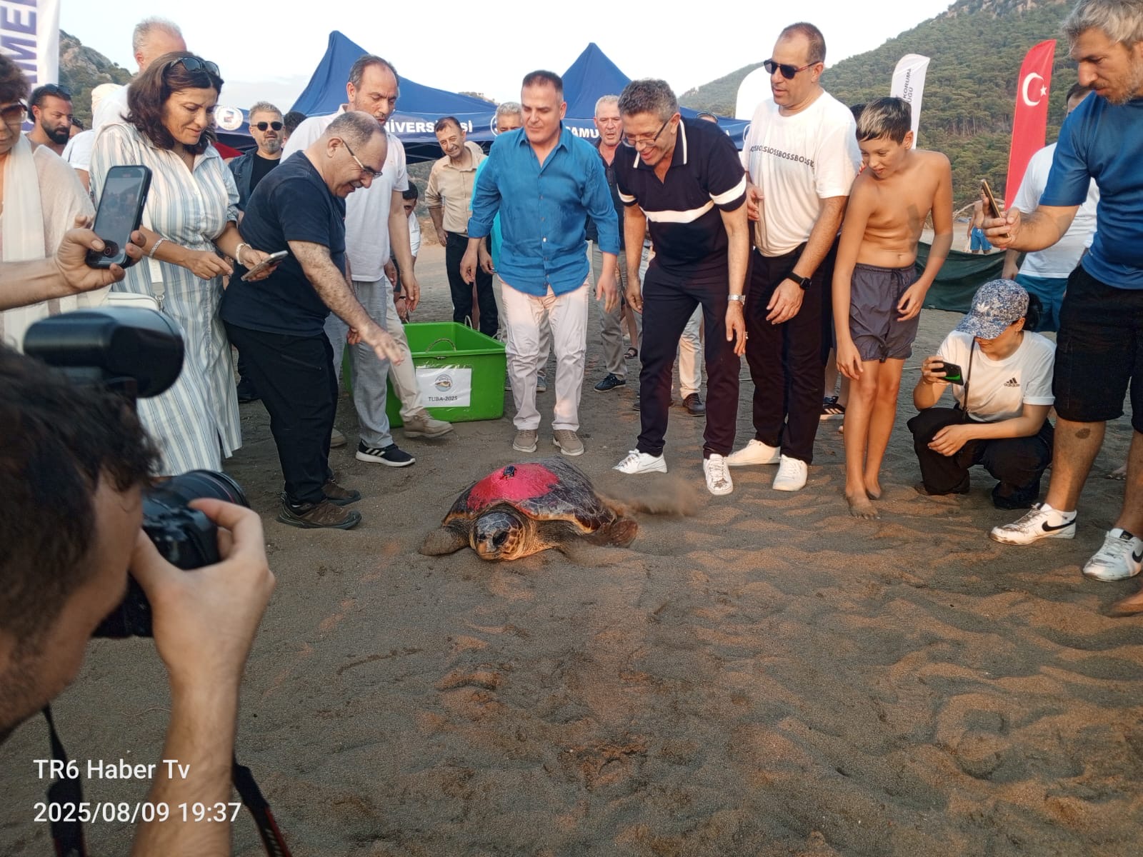 Yerli ve Milli Uydu Teknolojisiyle Caretta Caretta’ların Göç Yolculuğu Başladı
