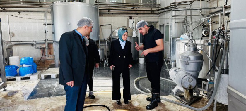 İl Müdürümüz Sn.Yasemin DEMİRÖRS Hanımefendi ve ÇED ve Çevre izinleri Şube Müdürü Mehmet YILDIRIM Nevşehir Merkezde bulunan Süt işleme Ve Peynir Üretim tesisinde inceleme ve denetimlerde bulunmuştur.