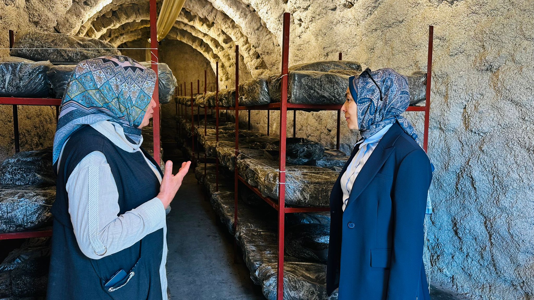 İl Müdürümüz Sn. Yasemin DEMİRÖRS Hanımefendi, Tatlarin Kadın Girişimi Üretme ve İşletme Kadın Kooperatifi tarafından gerçekleştirilen Kışlık Ürün Hazırlama etkinliğine katılım sağlamıştır.