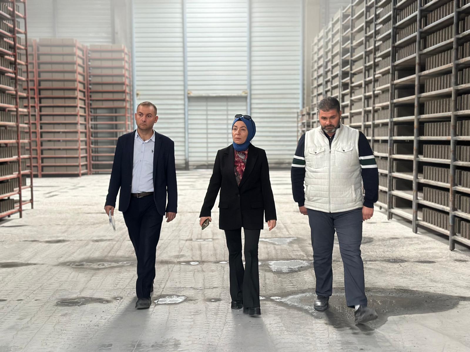 İl Müdürümüz Sn. Yasemin DEMİRÖRS Hanımefendi ve Çed Ve Çevre İzin birimi Şube Müdürü Mehmet YILDIRIM ilimizde faaliyet gösteren Bims firmalarını ve otelleri ziyaret etmiştir.