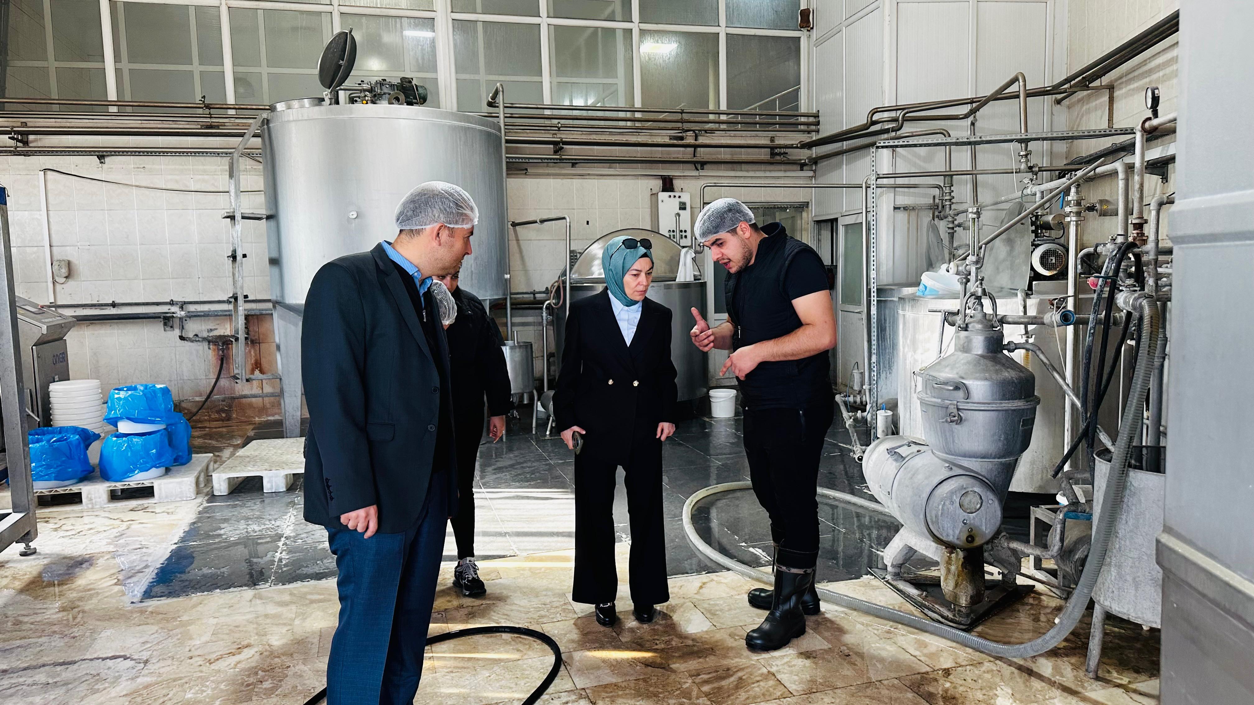 İl Müdürümüz Sn.Yasemin DEMİRÖRS Hanımefendi ve ÇED ve Çevre izinleri Şube Müdürü Mehmet YILDIRIM Nevşehir Merkezde bulunan Süt işleme Ve Peynir Üretim tesisinde inceleme ve denetimlerde bulunmuştur.