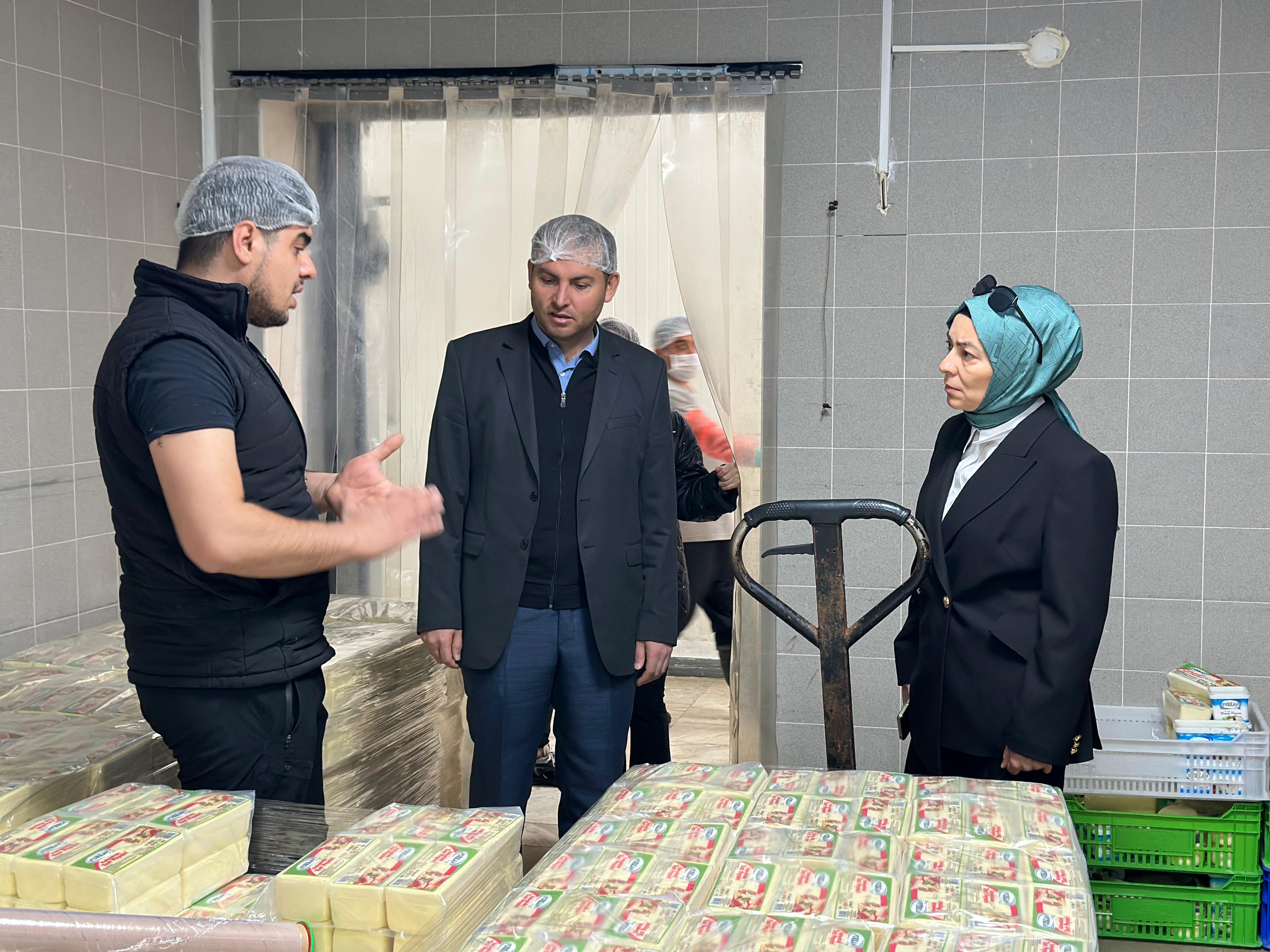 İl Müdürümüz Sn.Yasemin DEMİRÖRS Hanımefendi ve ÇED ve Çevre izinleri Şube Müdürü Mehmet YILDIRIM Nevşehir Merkezde bulunan Süt işleme Ve Peynir Üretim tesisinde inceleme ve denetimlerde bulunmuştur.