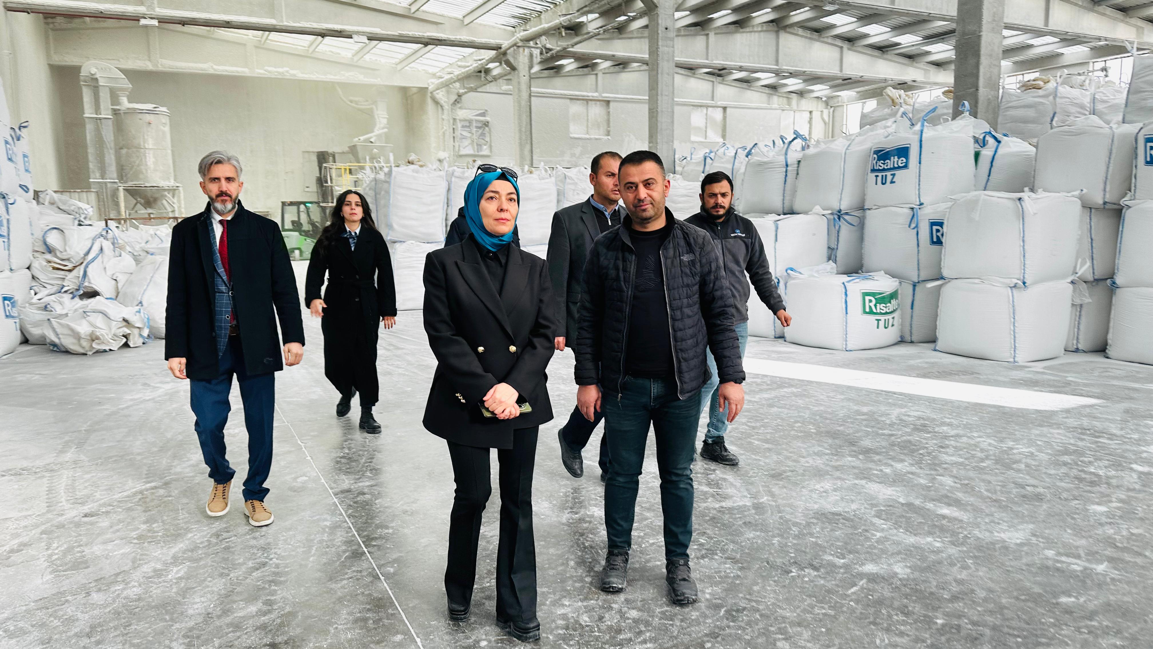 İl Müdürümüz Sn.Yasemin DEMİRÖRS Hanımefendi ve ÇED ve Çevre izinleri Şube Müdürü Mehmet YILDIRIM, Gülşehir ilçesinde bulunan Tuz üretim tesisinde inceleme ve denetimlerde bulunmuştur.