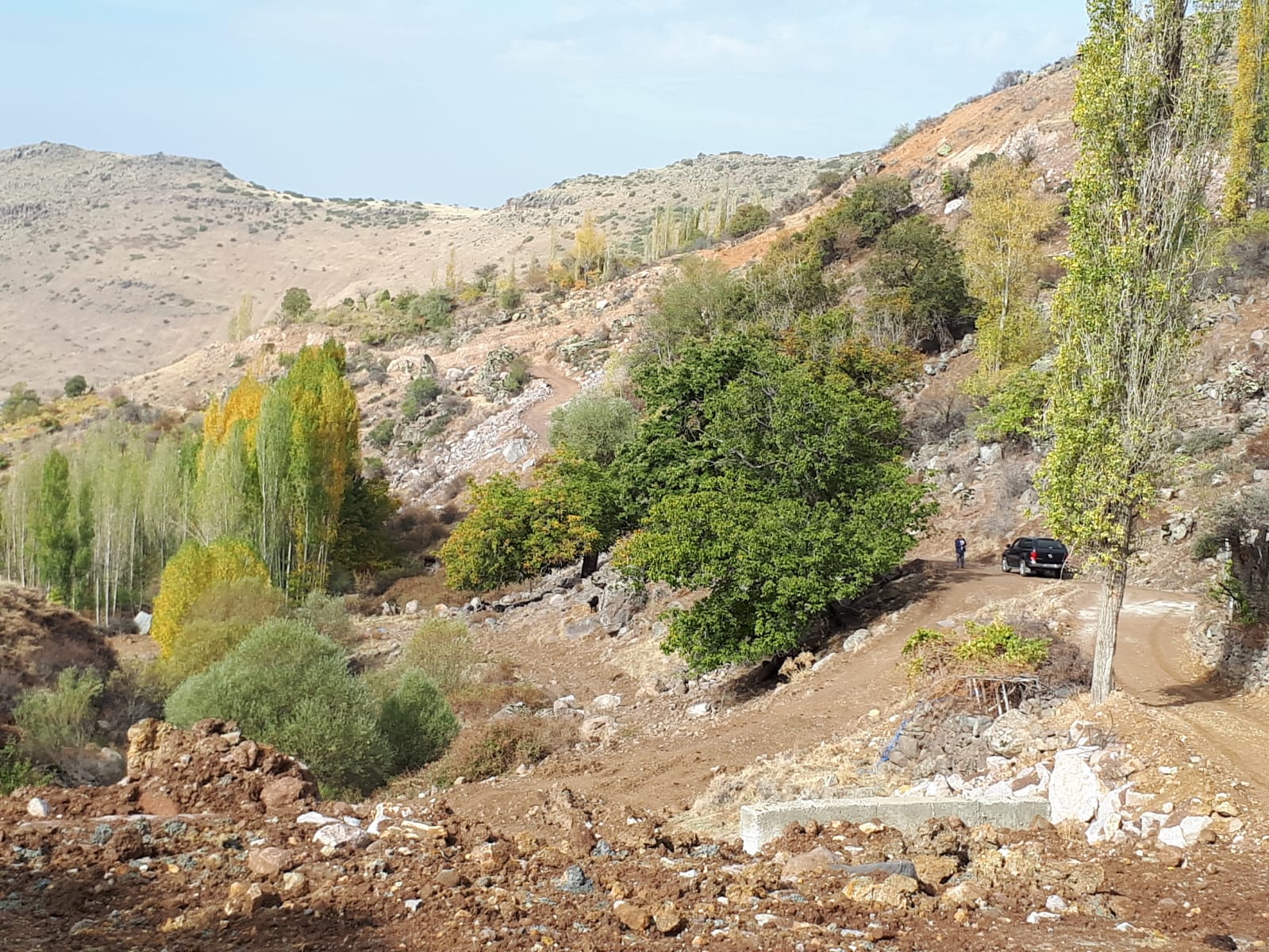 Anıt Kestane Ağacı Koruma Altında