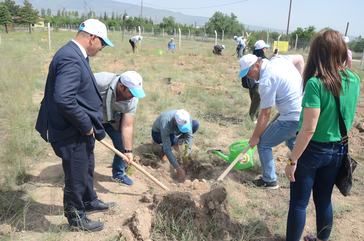 Türkiye Çevre Haftası 2. Gün Etkinlikleri