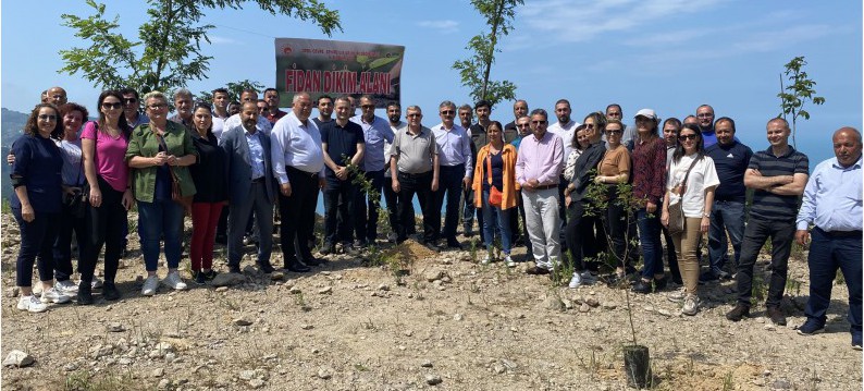 5 Haziran Dünya Çevre günü kapsamında müdürlüğümüzce Perşembe İlçesinde rehabilite edilen eski çöp sahasın 'da Fidan dikimi  yapıldı.