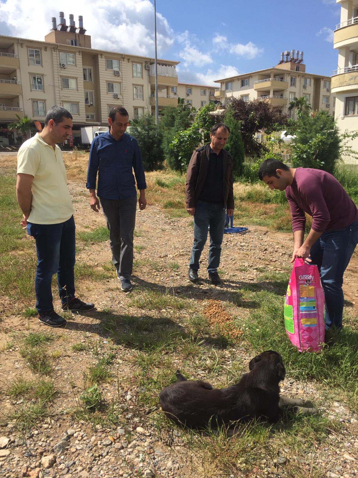 Sokak Hayvanları Aç Kalmasın Kapsamında İl Müdürlüğümüzce Yapılan Faaliyetler.